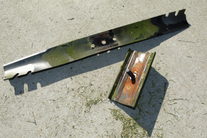 P1170715c.gif