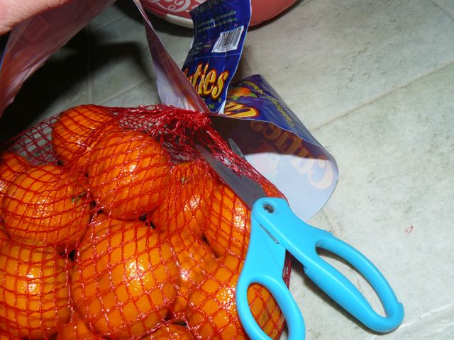 P1210758.jpg