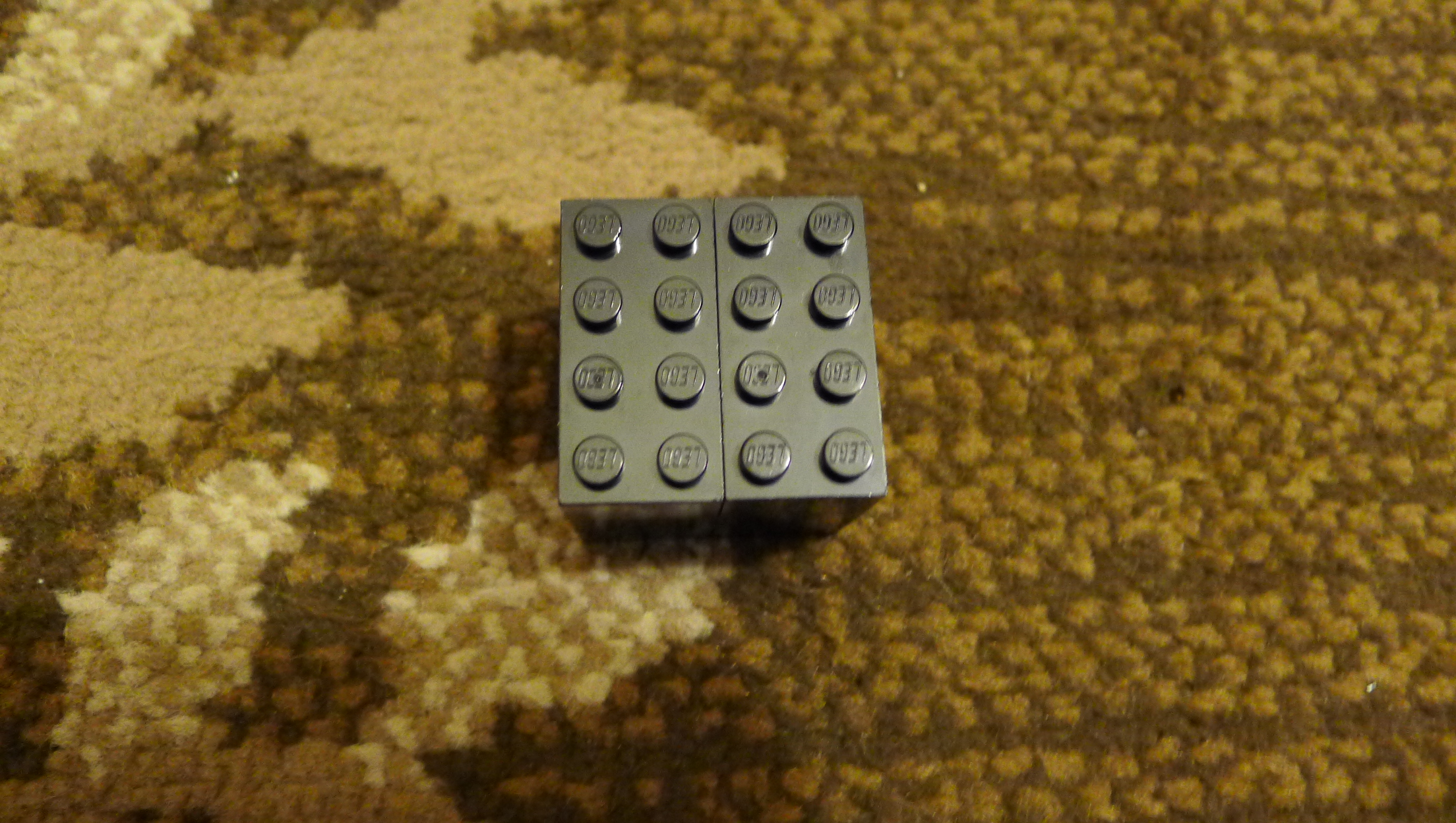 P1220913.JPG