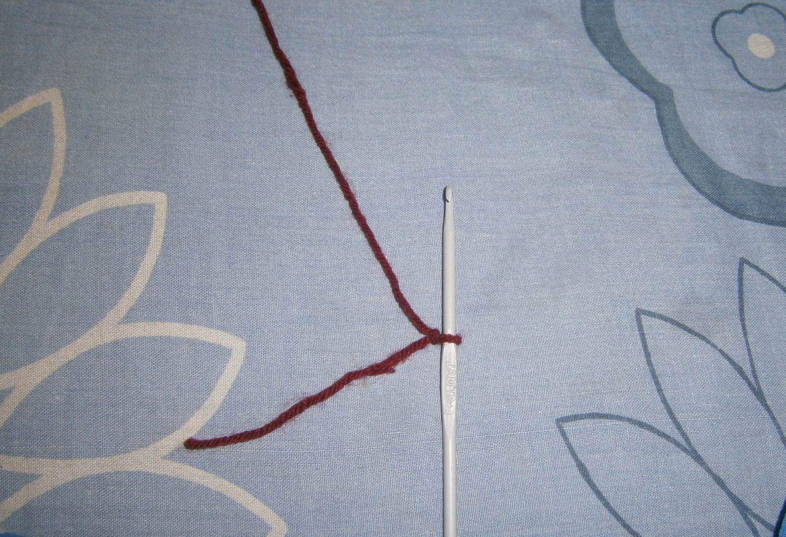 P2046464.JPG