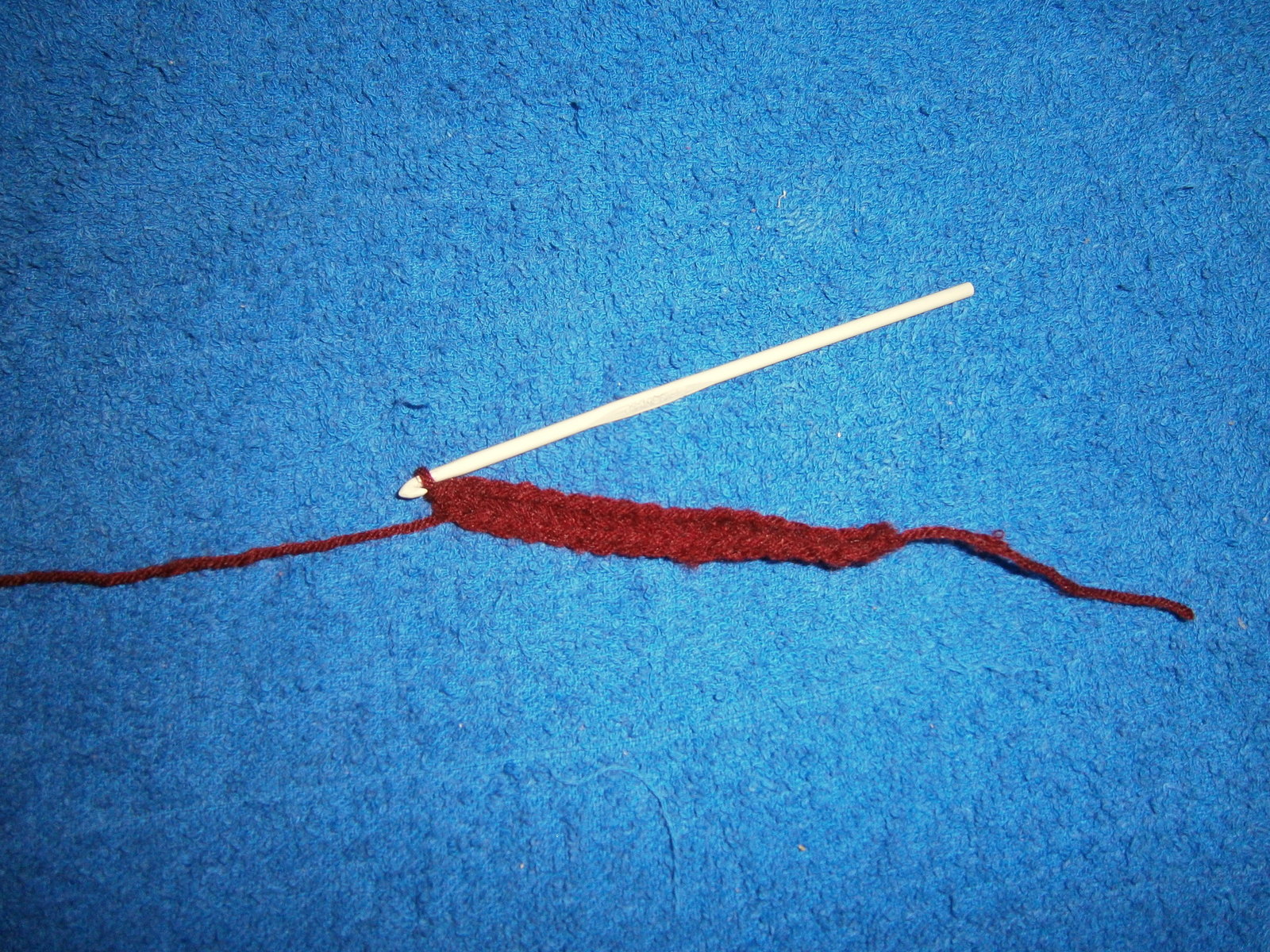 P2056582.JPG