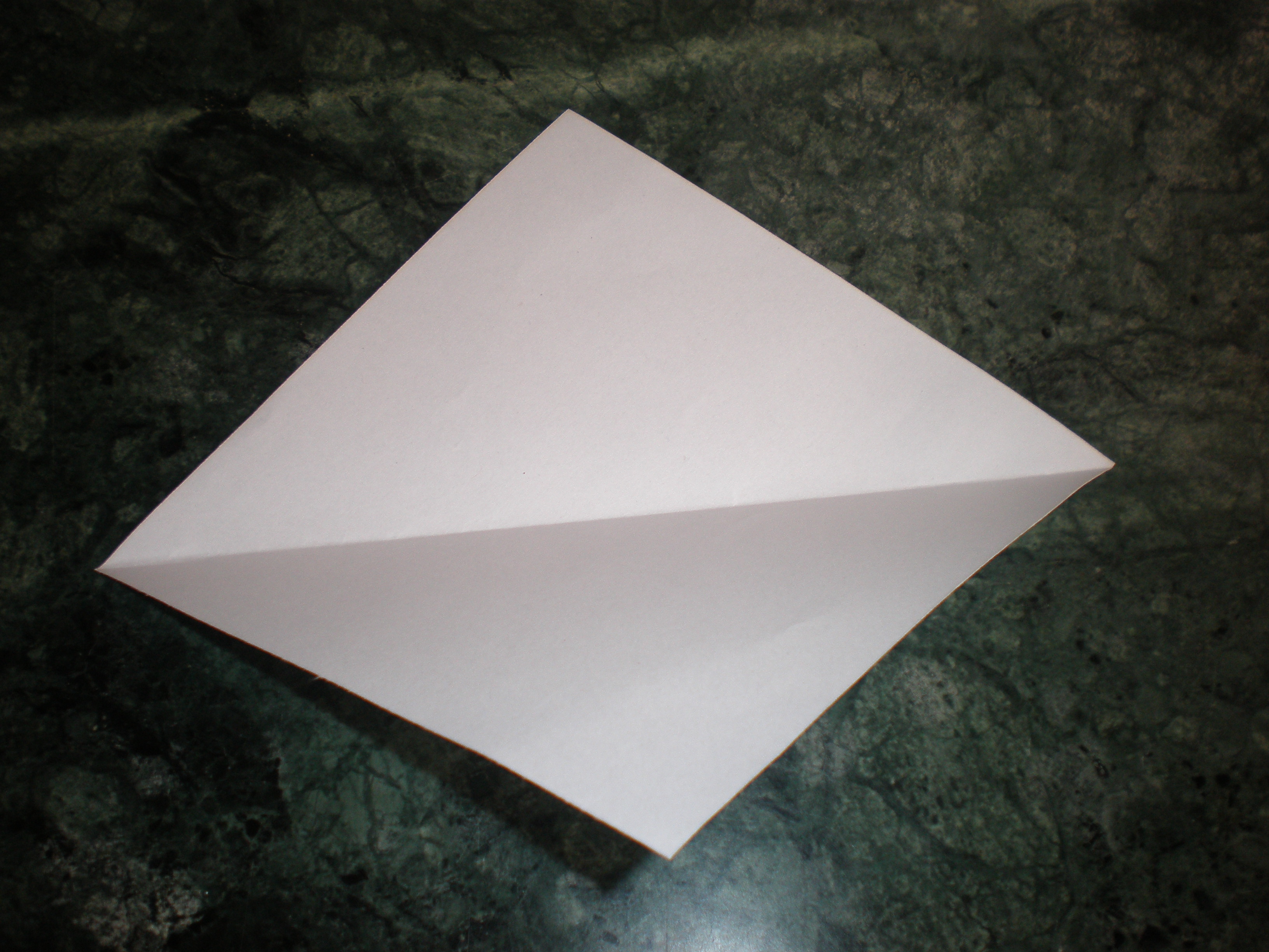 P2150293.JPG