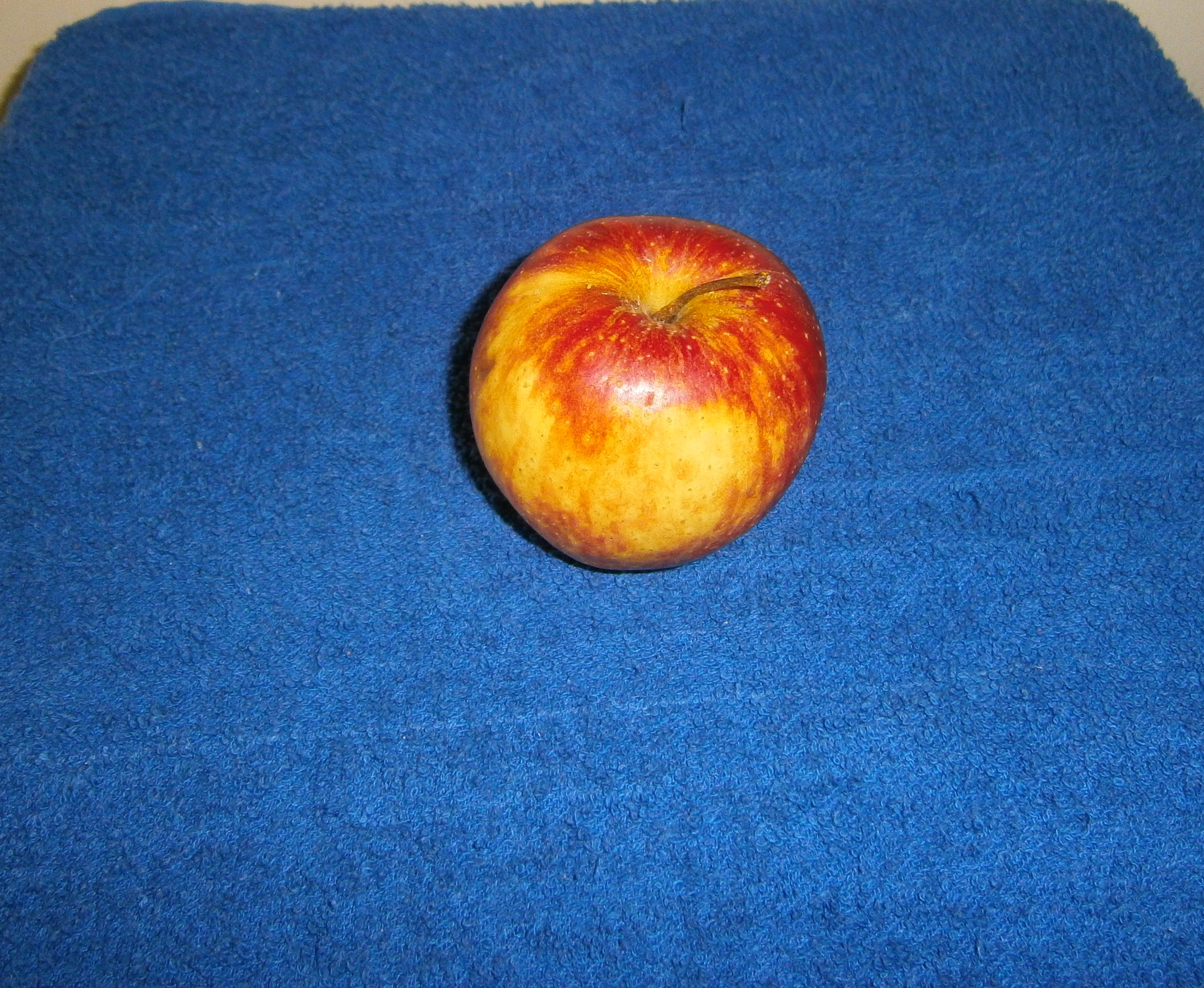 P2230857.JPG