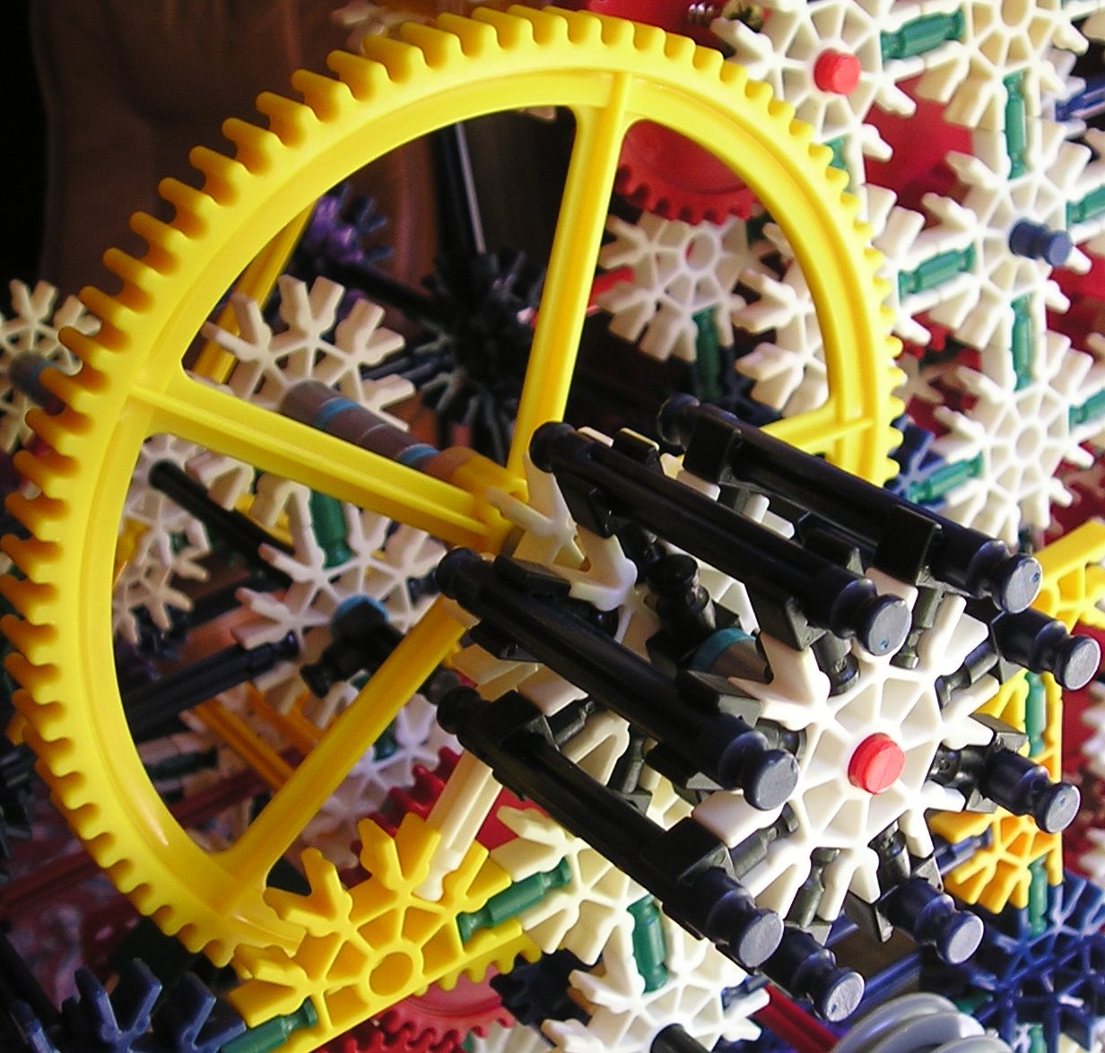 P61.JPG