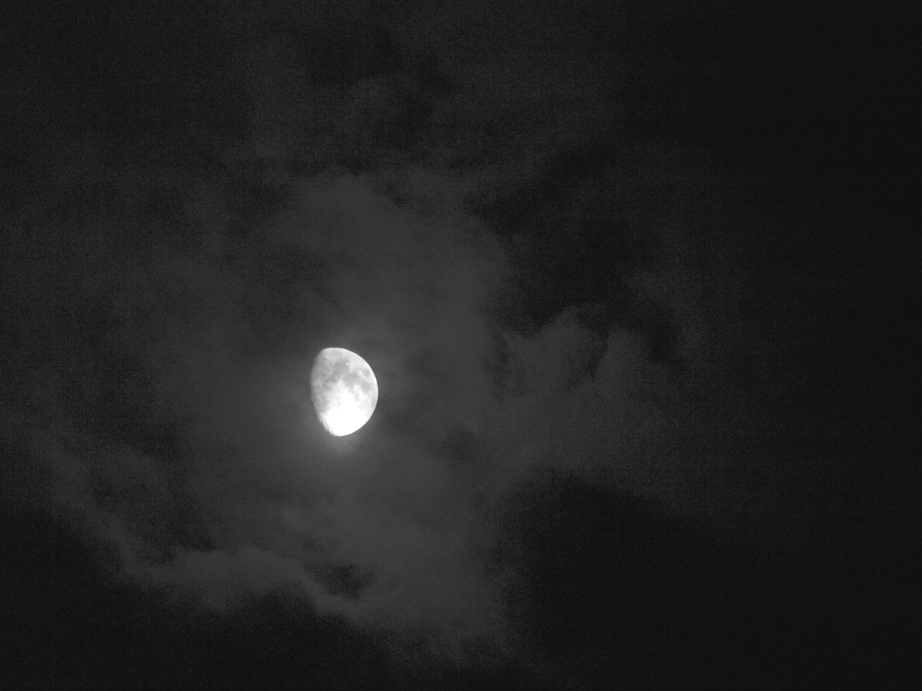 PA170765 4.jpg