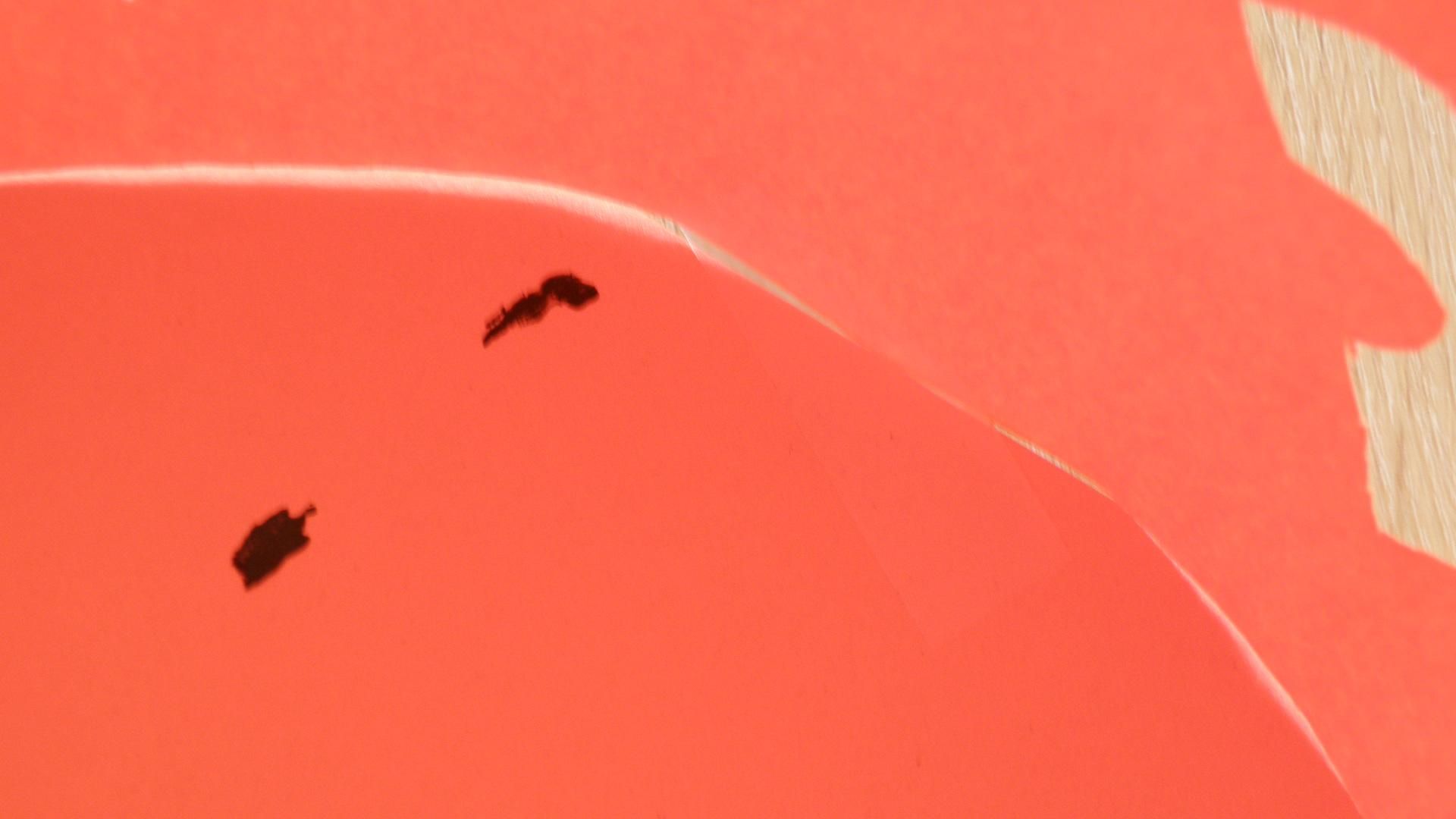 PA310097.JPG
