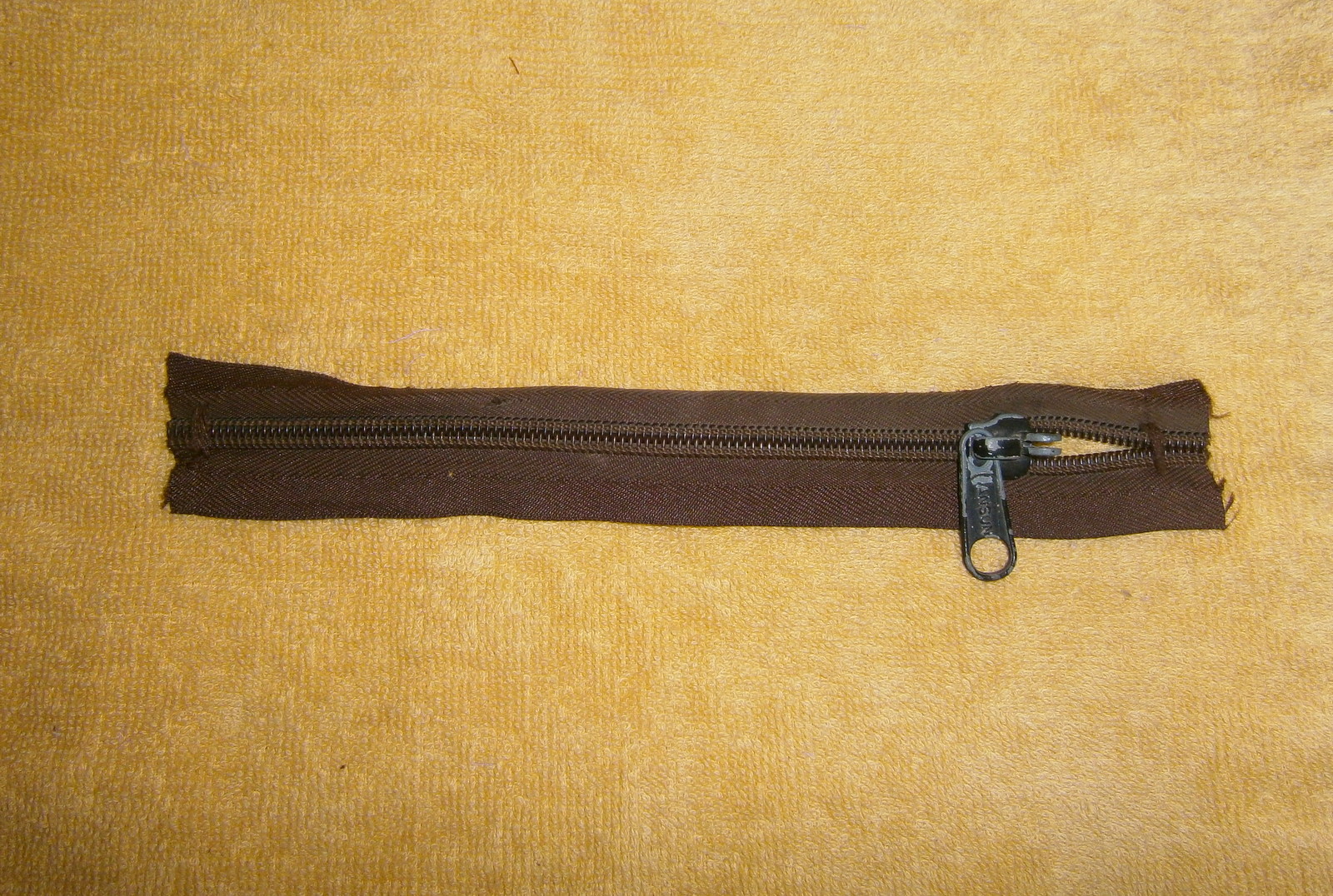 PB242104.JPG