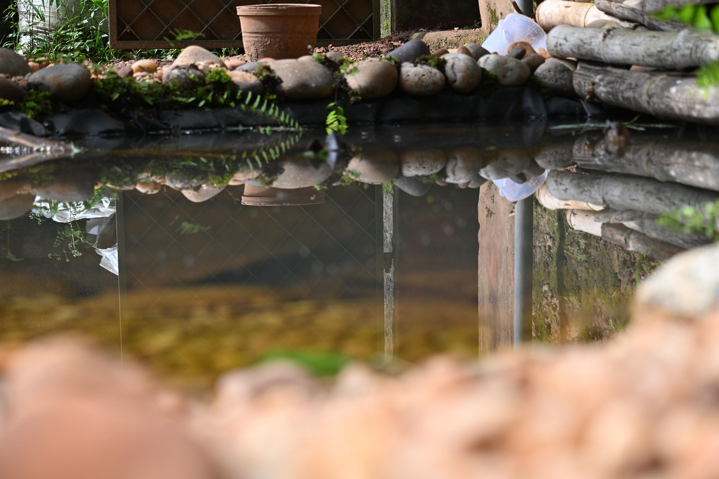 PHO_0912.JPG