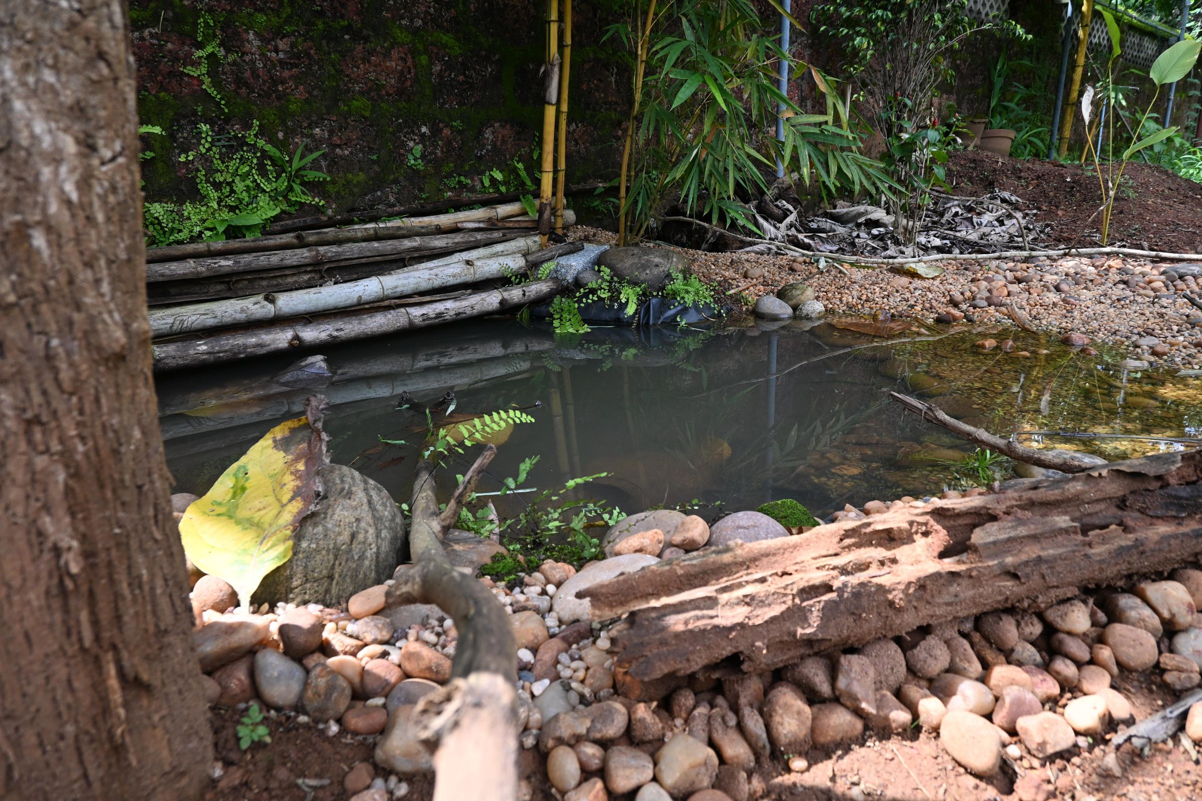 PHO_1048.JPG