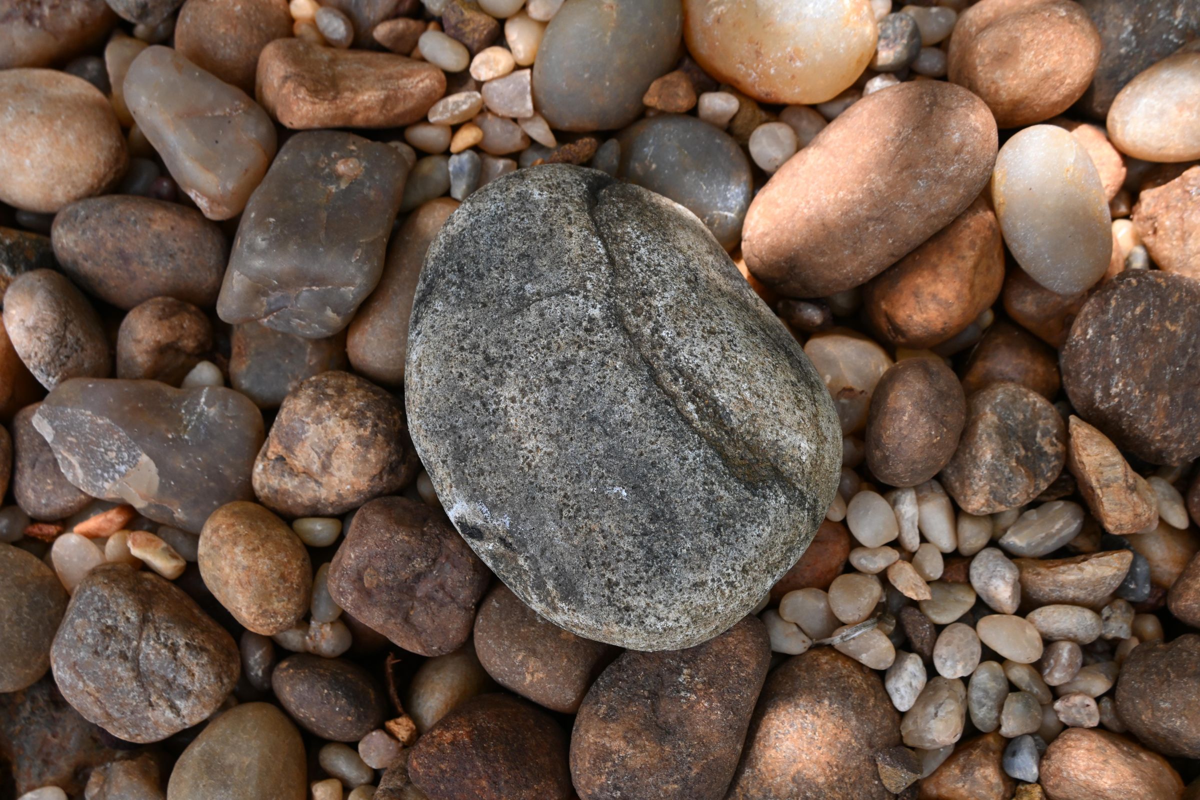 PHO_1110.JPG