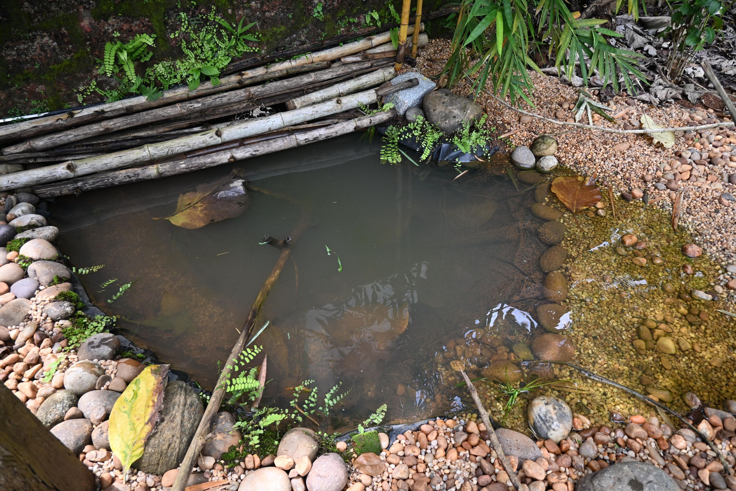 PHO_1128.JPG