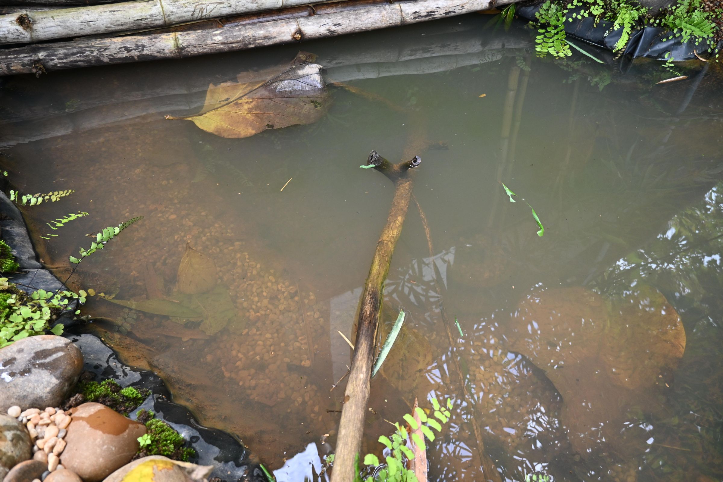PHO_1132.JPG