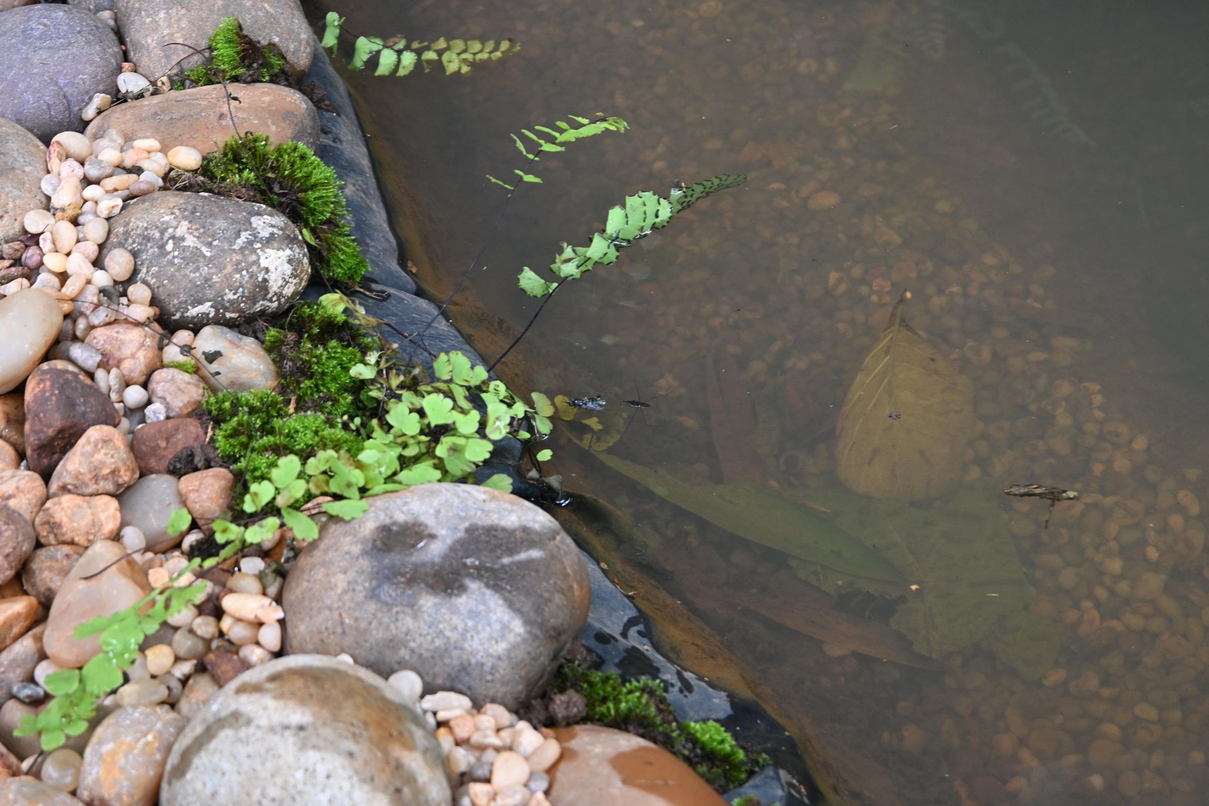 PHO_1139.JPG