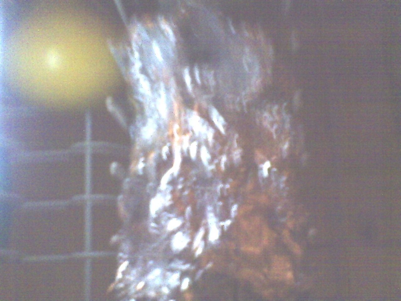 PICT0280.JPG
