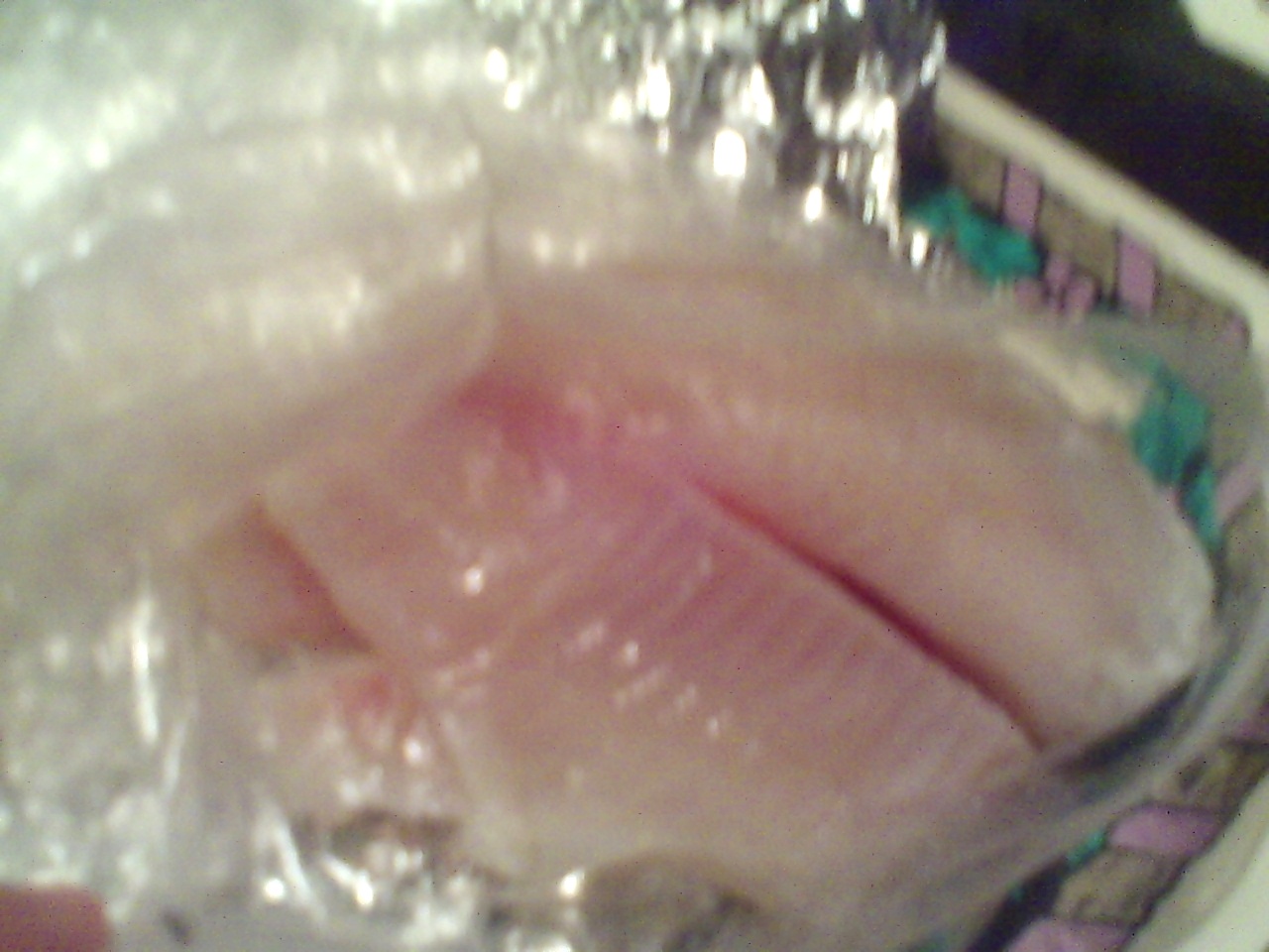 PICT0281.JPG