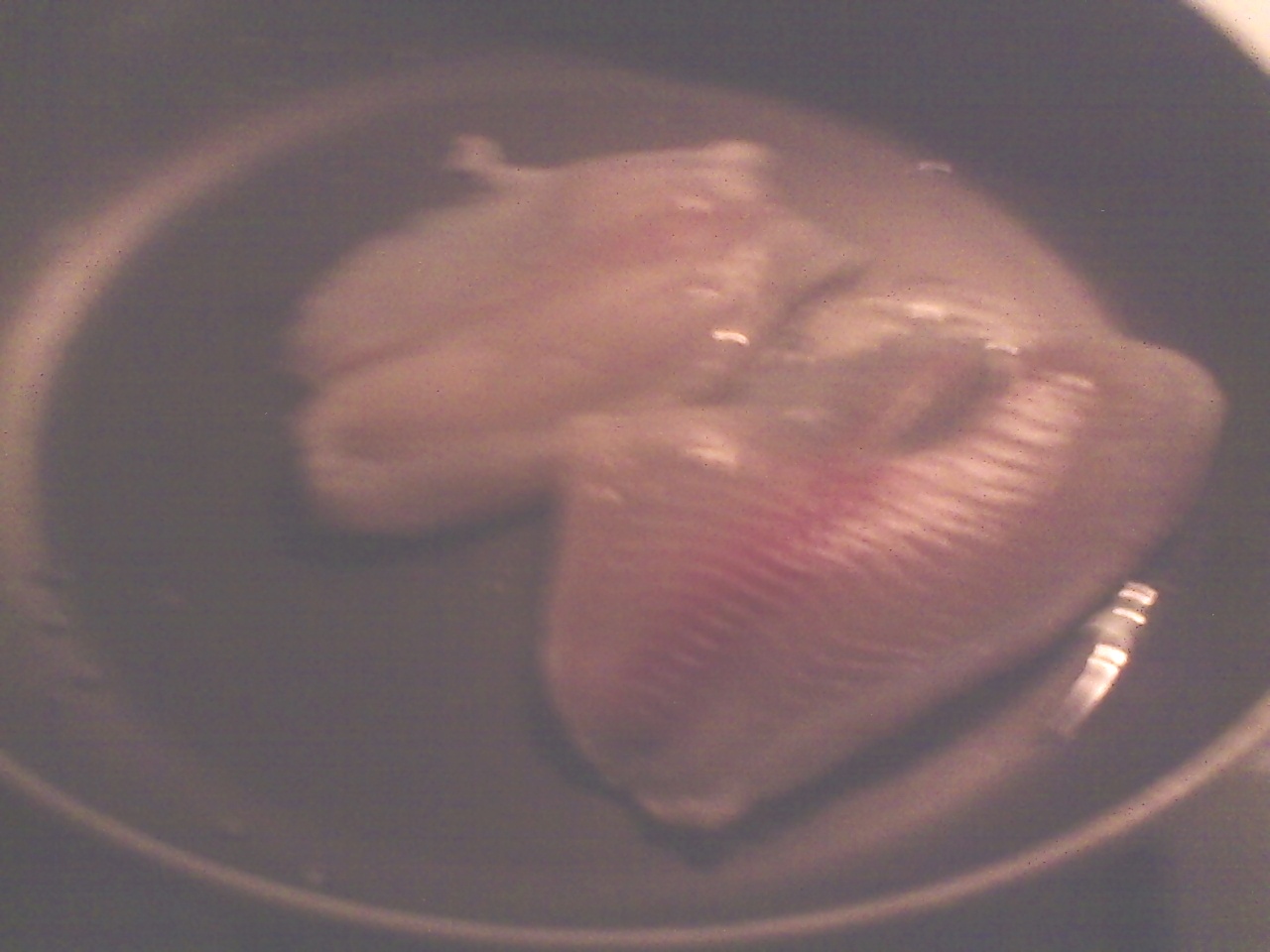 PICT0282.JPG