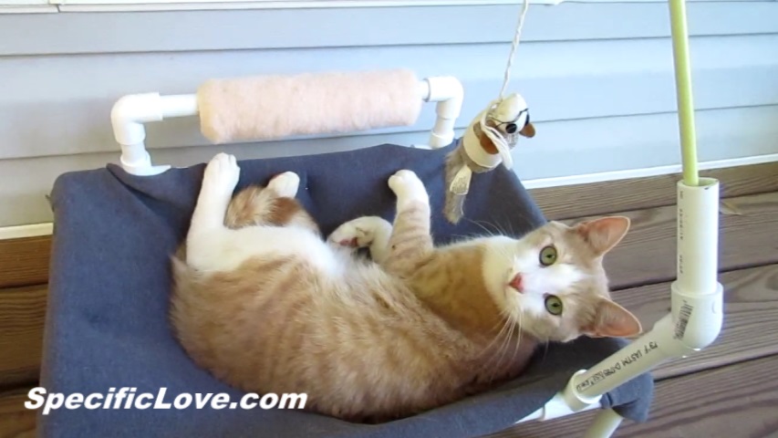 PVC Cat Hammock.jpg