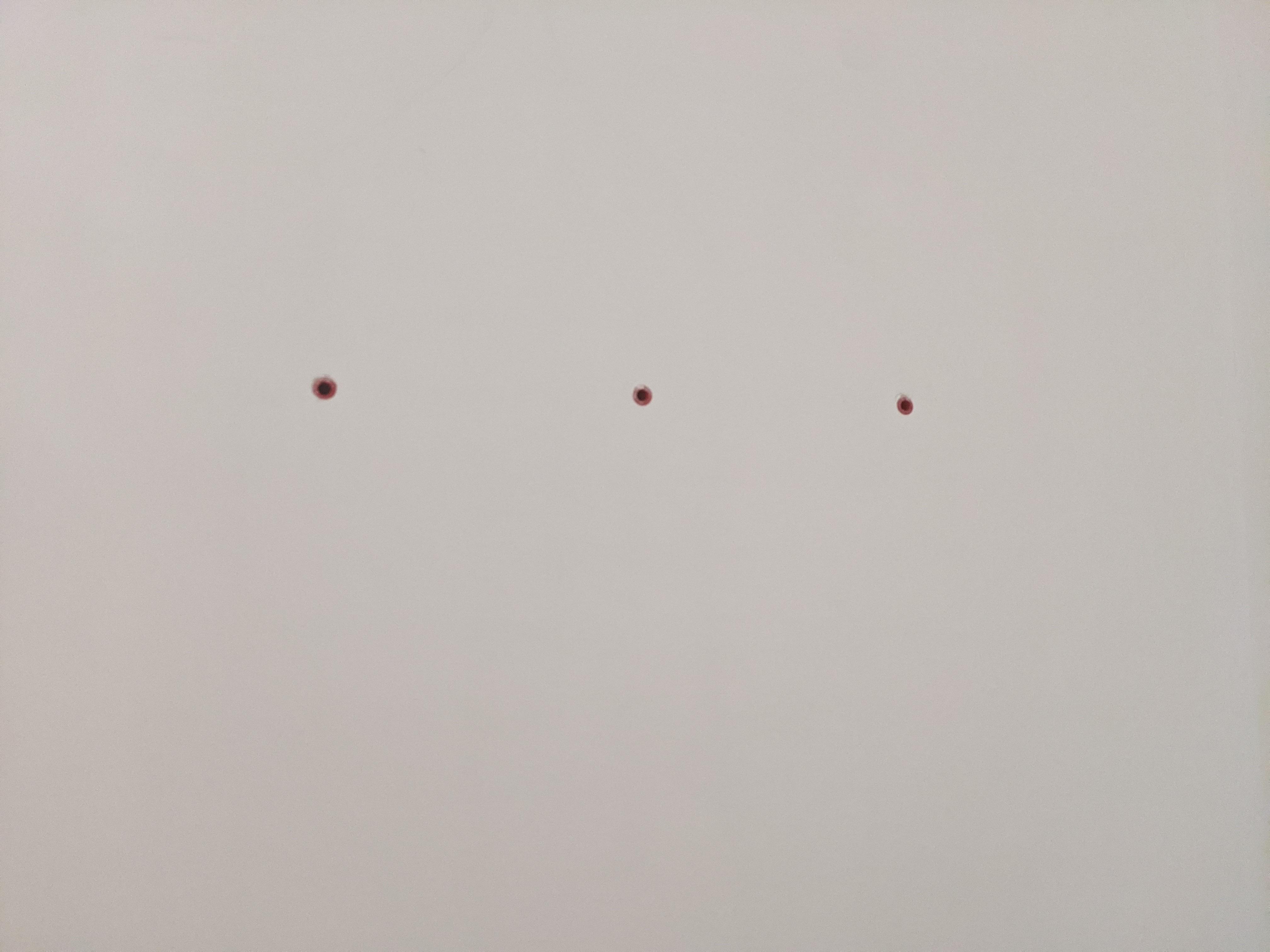 PXL_20201221_165003499.jpg