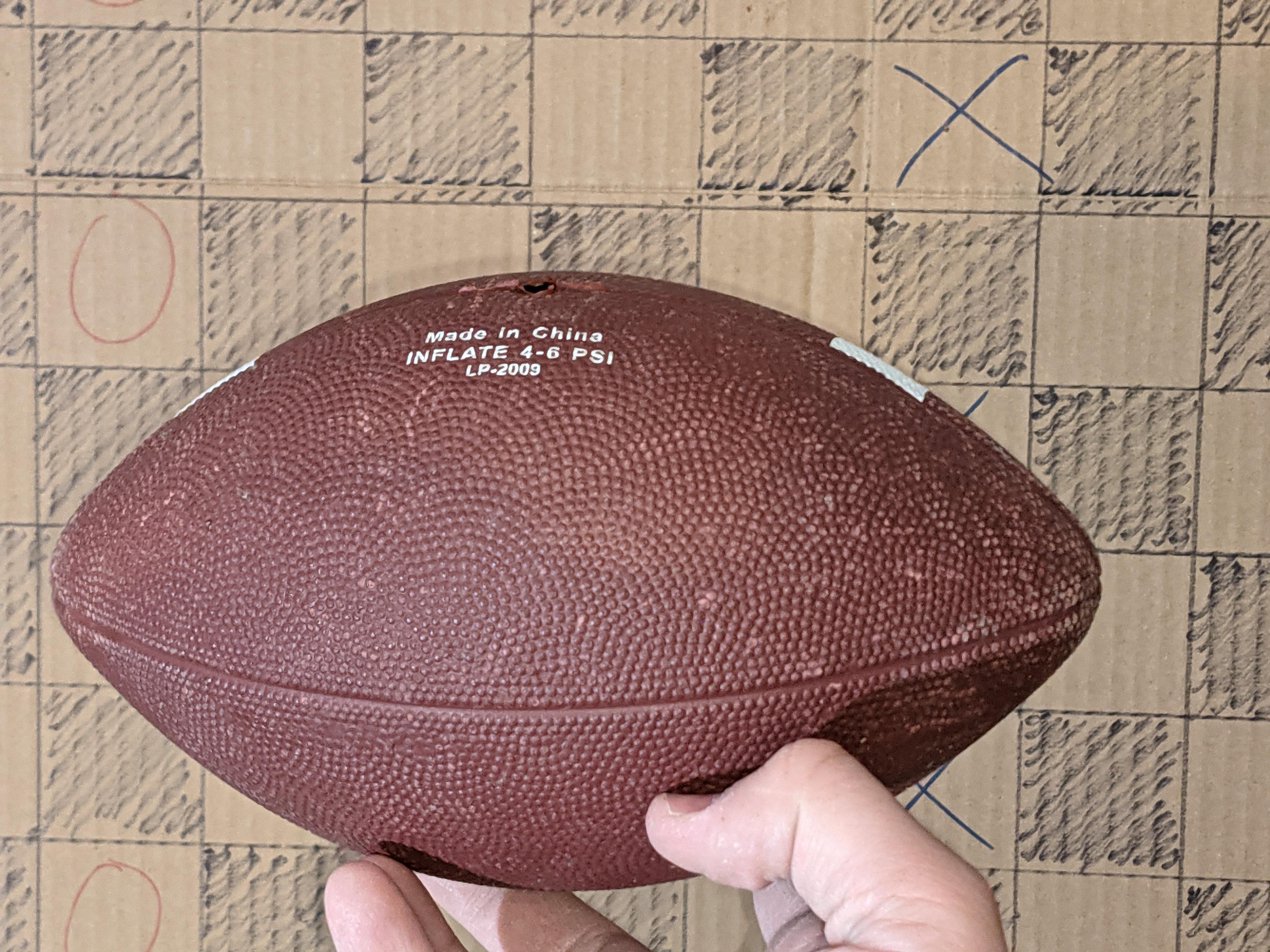 PXL_20210413_050333696.jpg