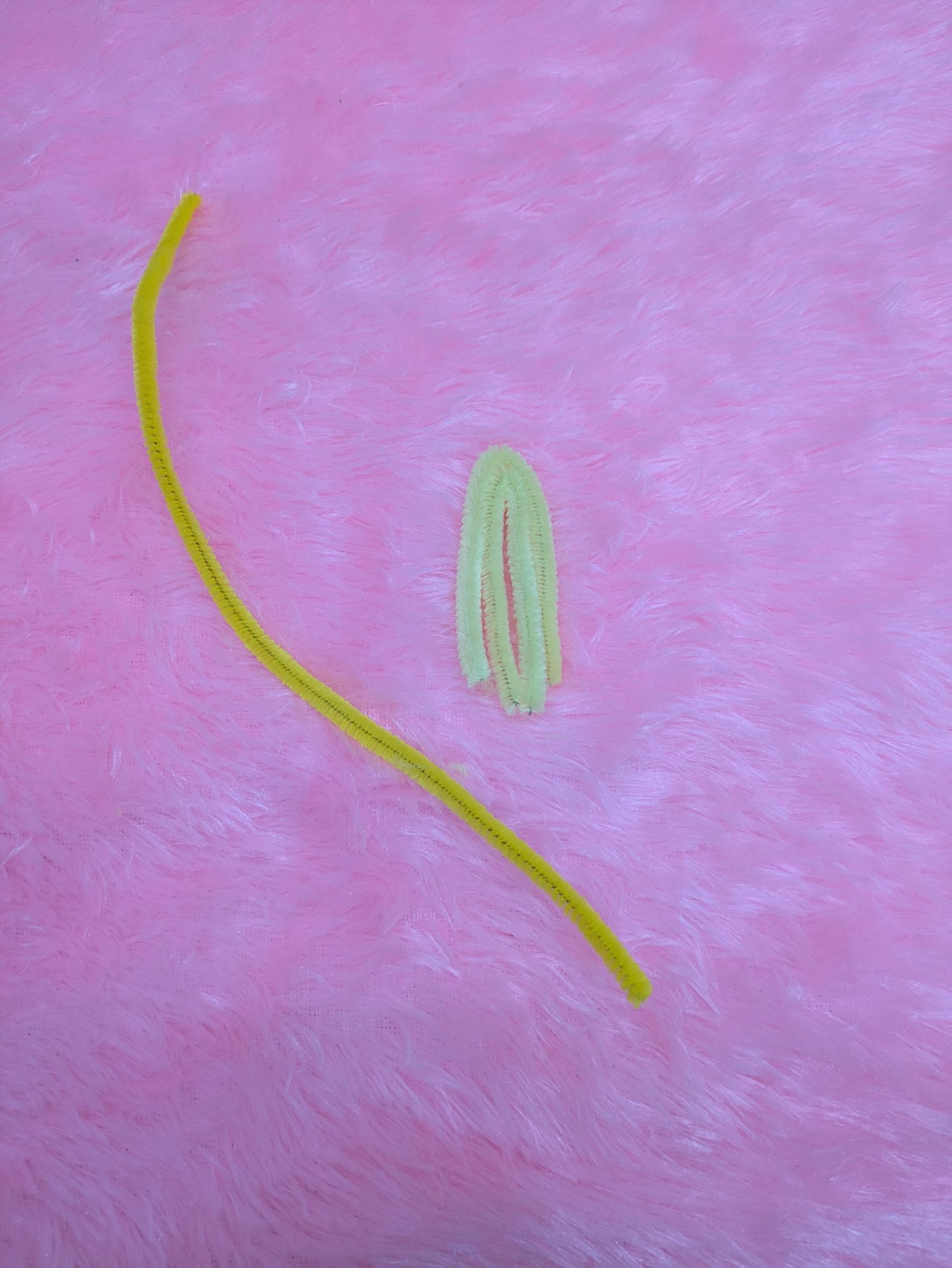 PXL_20260714_185424139.jpg
