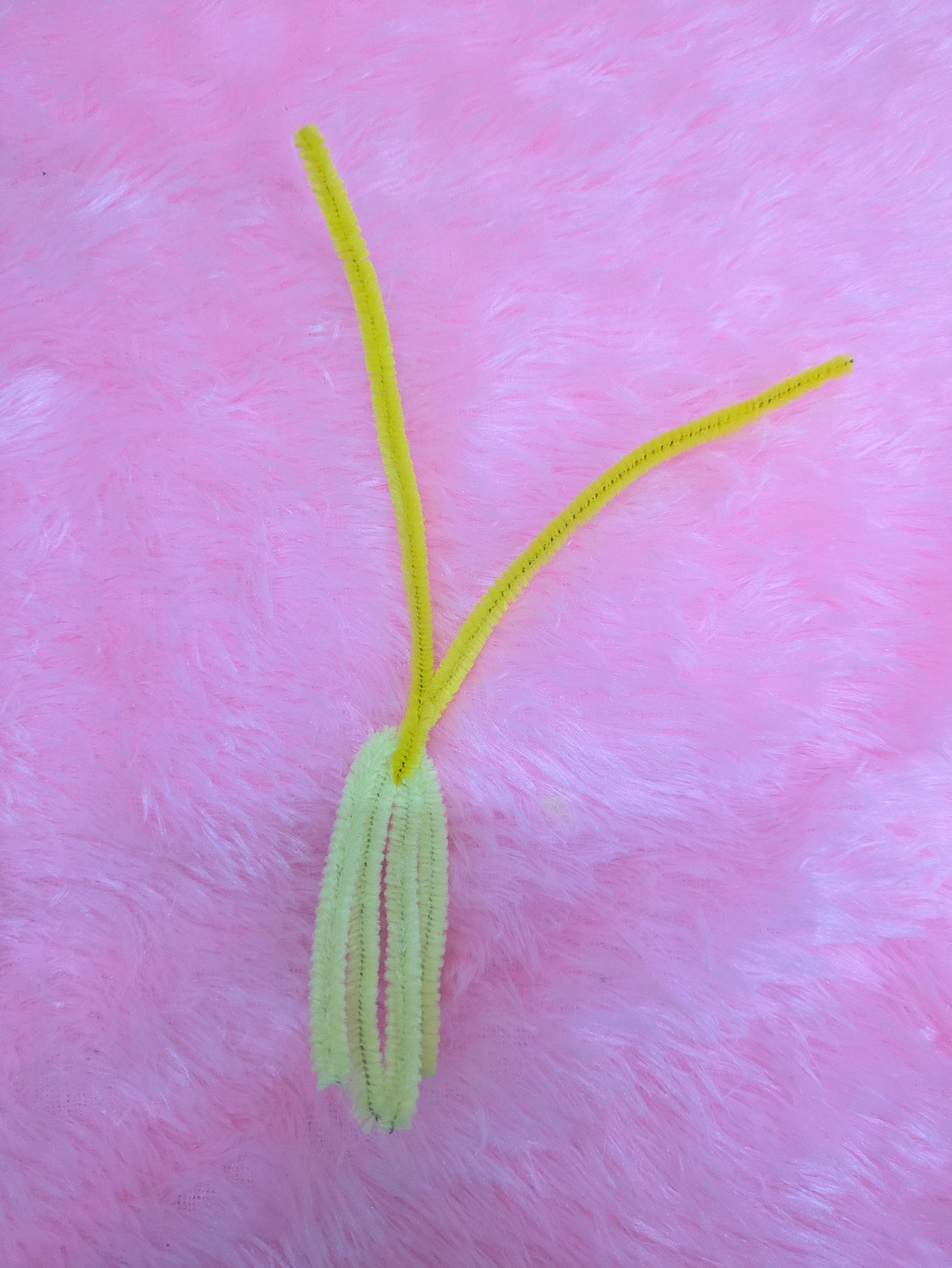 PXL_20260714_185535121~2.jpg