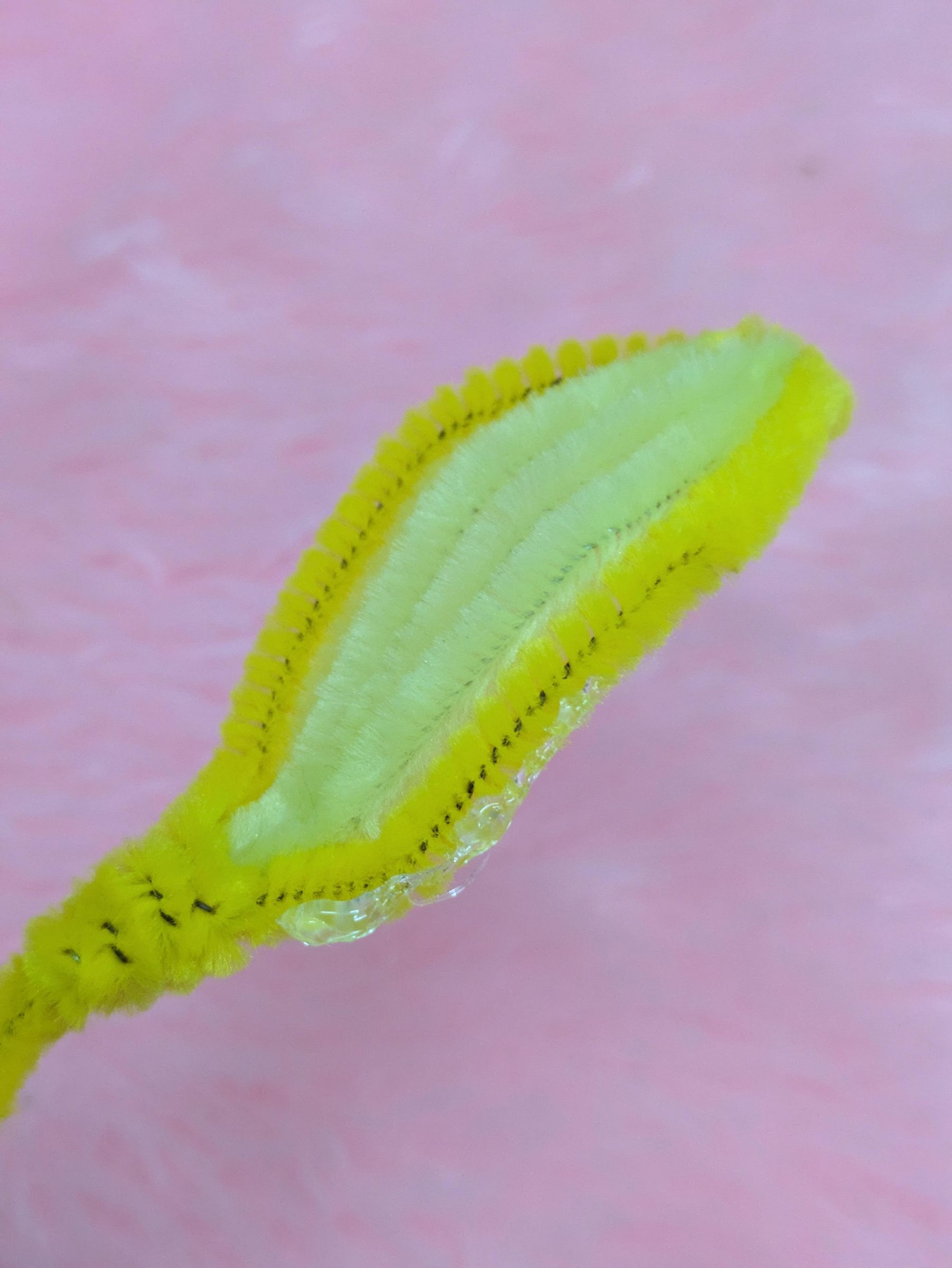 PXL_20260715_172124676.jpg