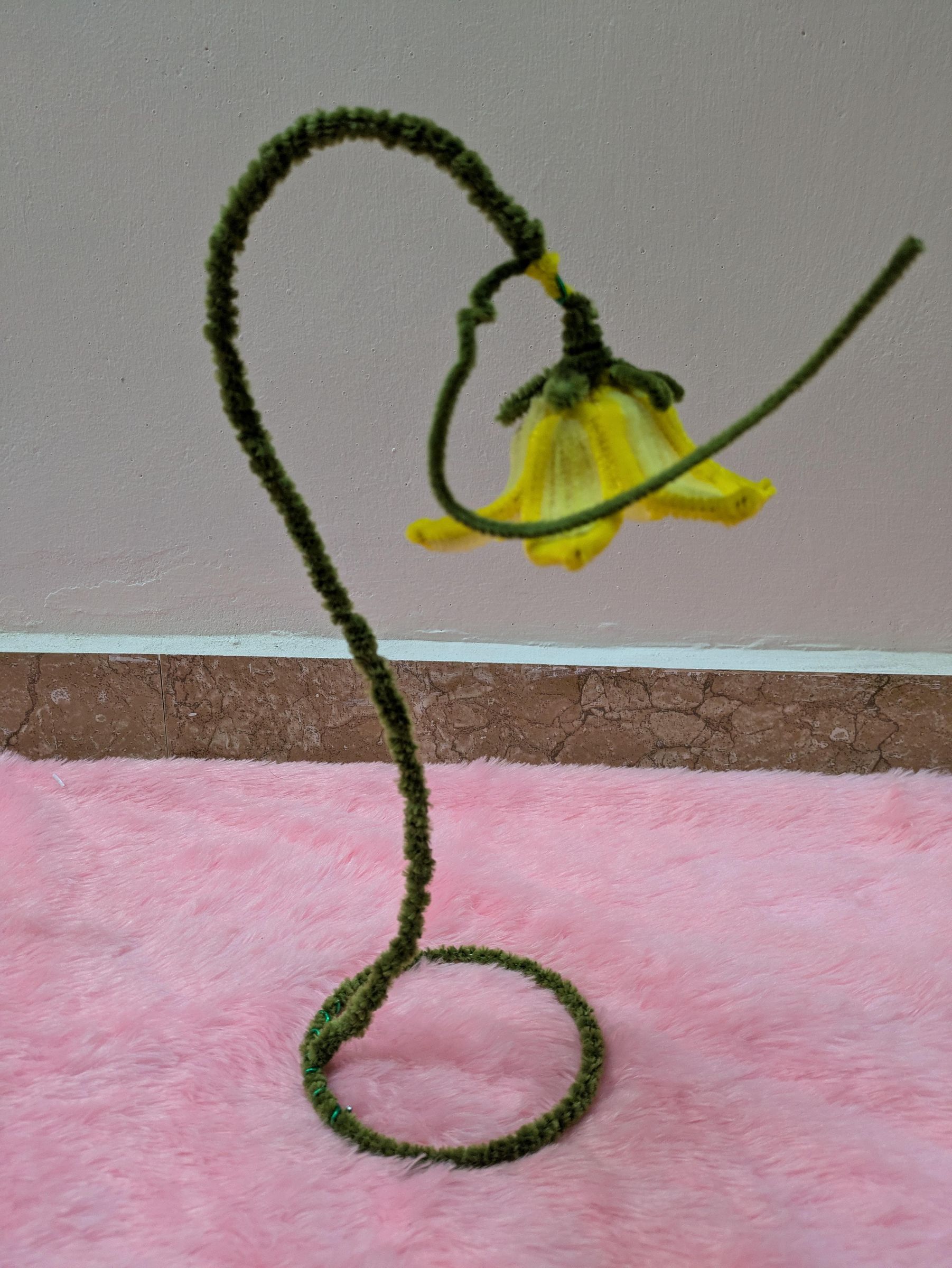 PXL_20260716_075930975.jpg