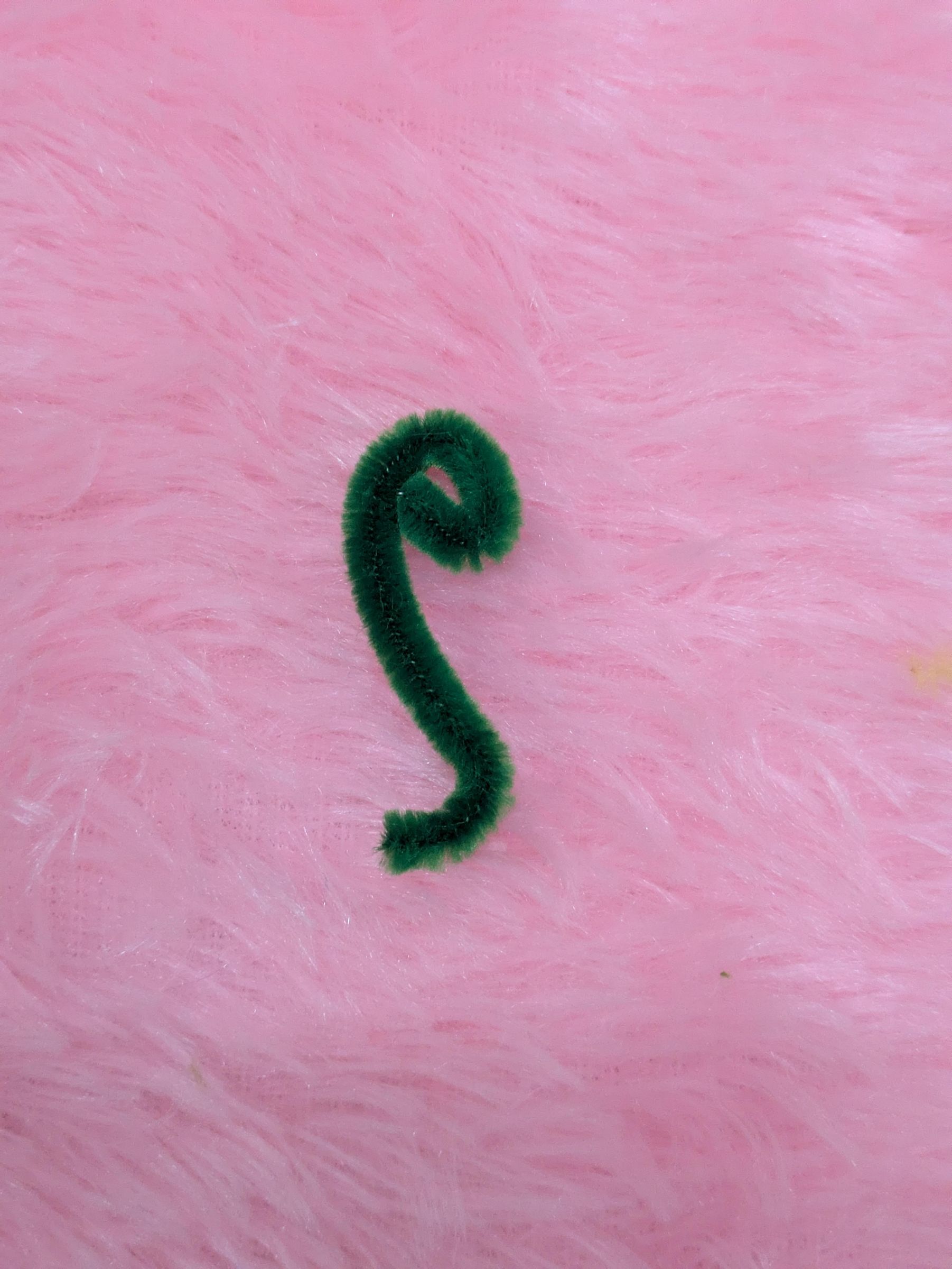 PXL_20260720_120538620.jpg