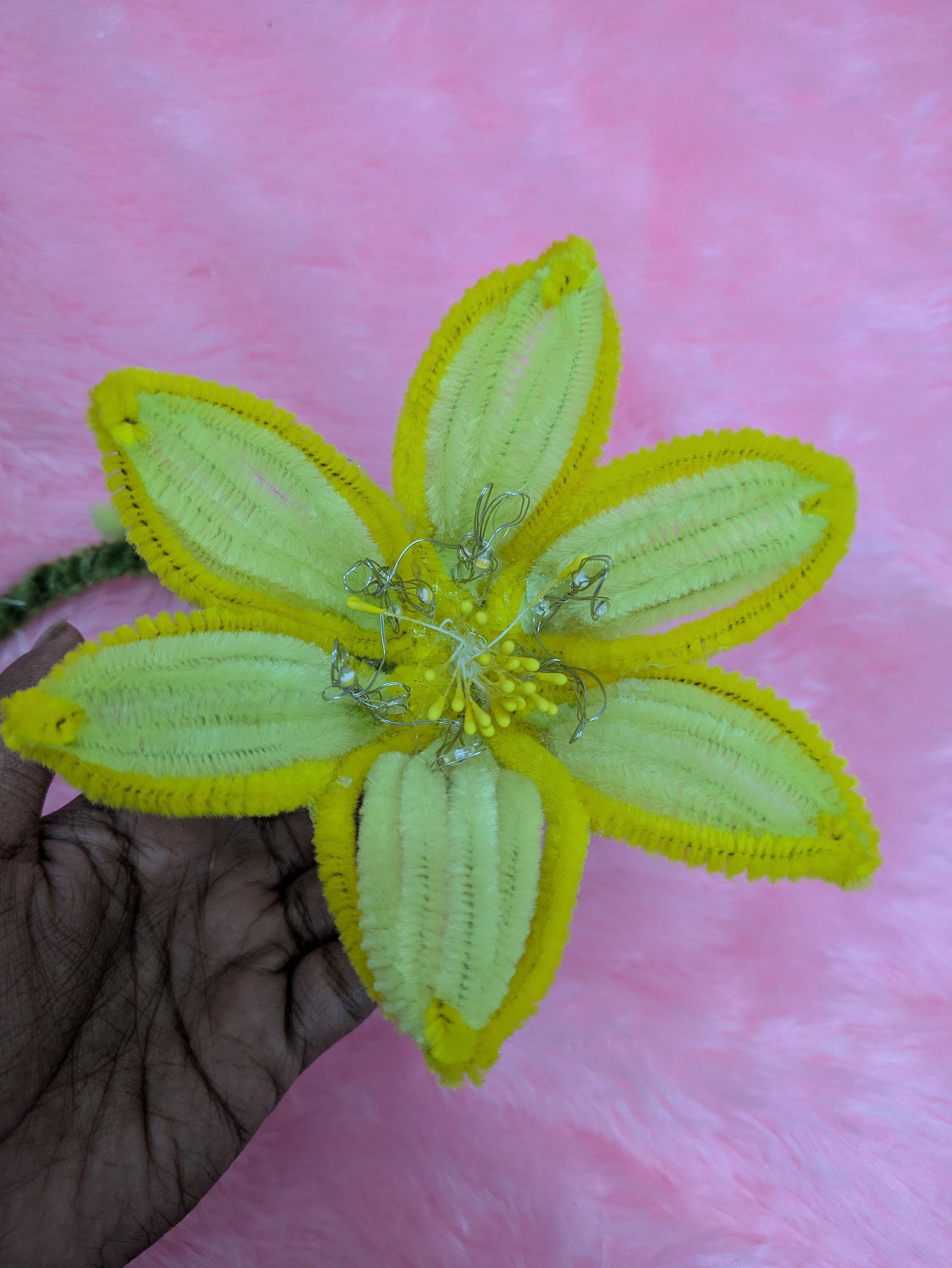 PXL_20260720_123724923.jpg