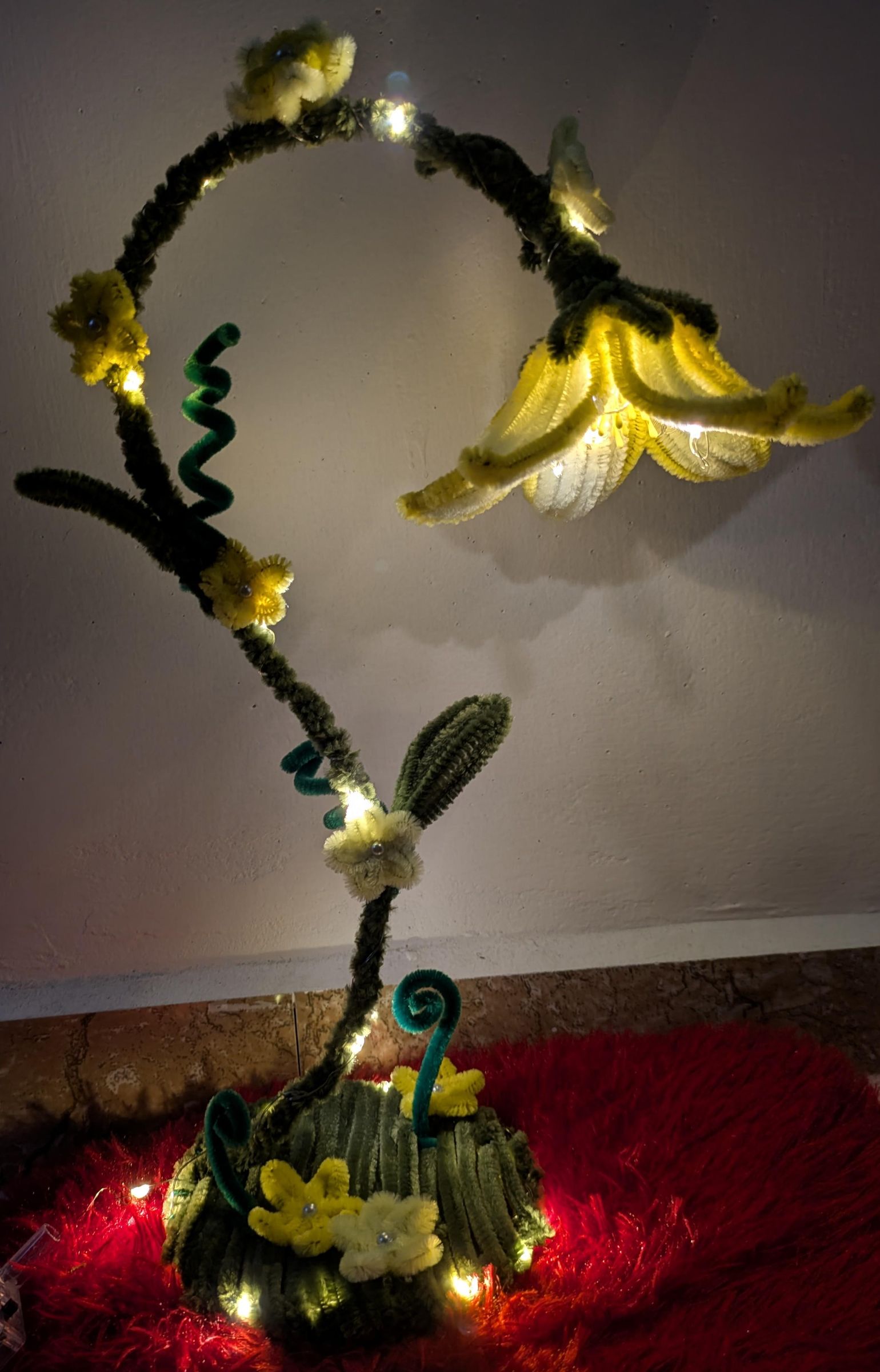 PXL_20260720_125353742.NIGHT~2.jpg