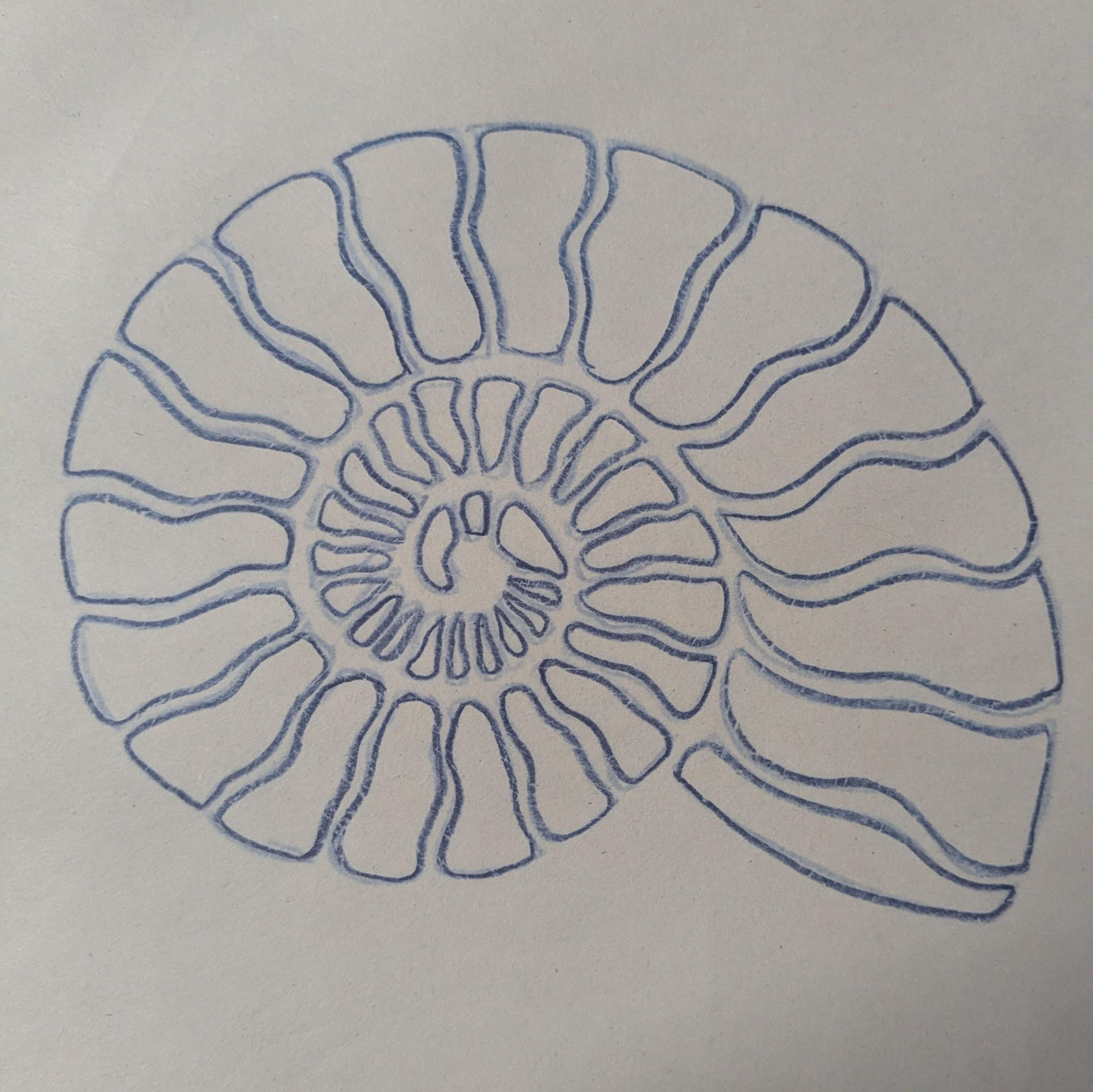 PXL_20260720_181926590.jpg