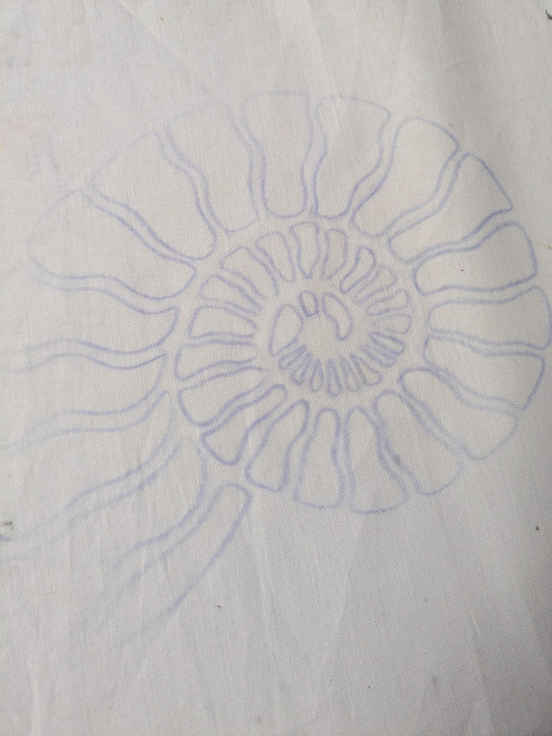 PXL_20260720_182305715.jpg