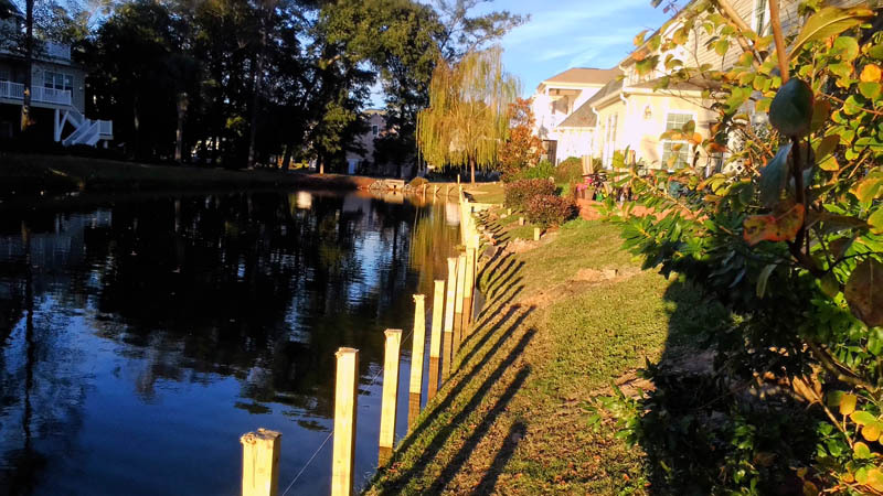 P_20151113_163513.jpg