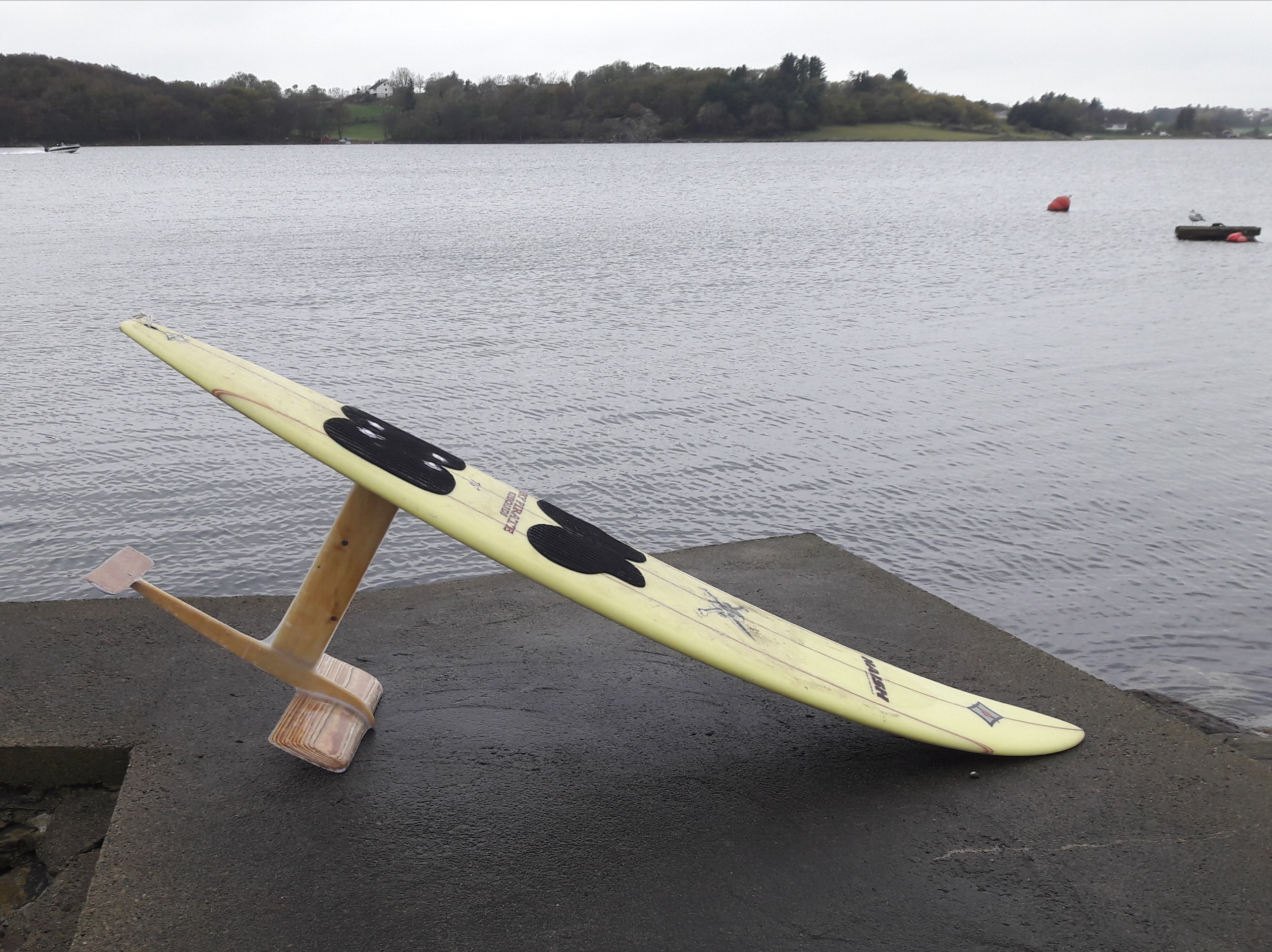 Paddle Surf foil.jpg