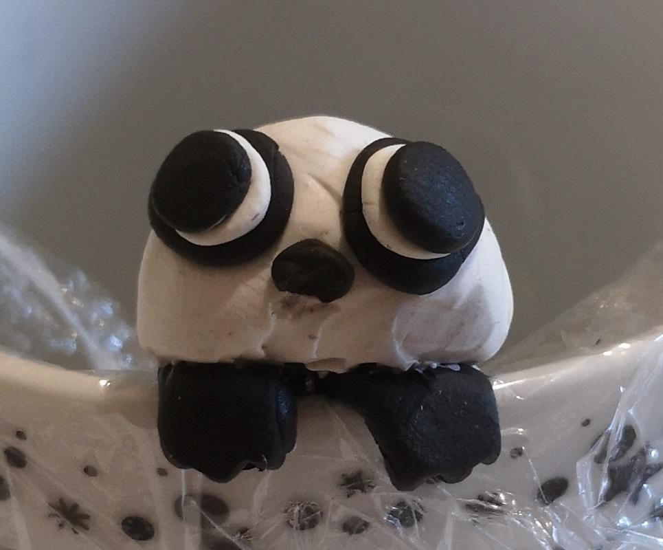 Panda (16).jpg