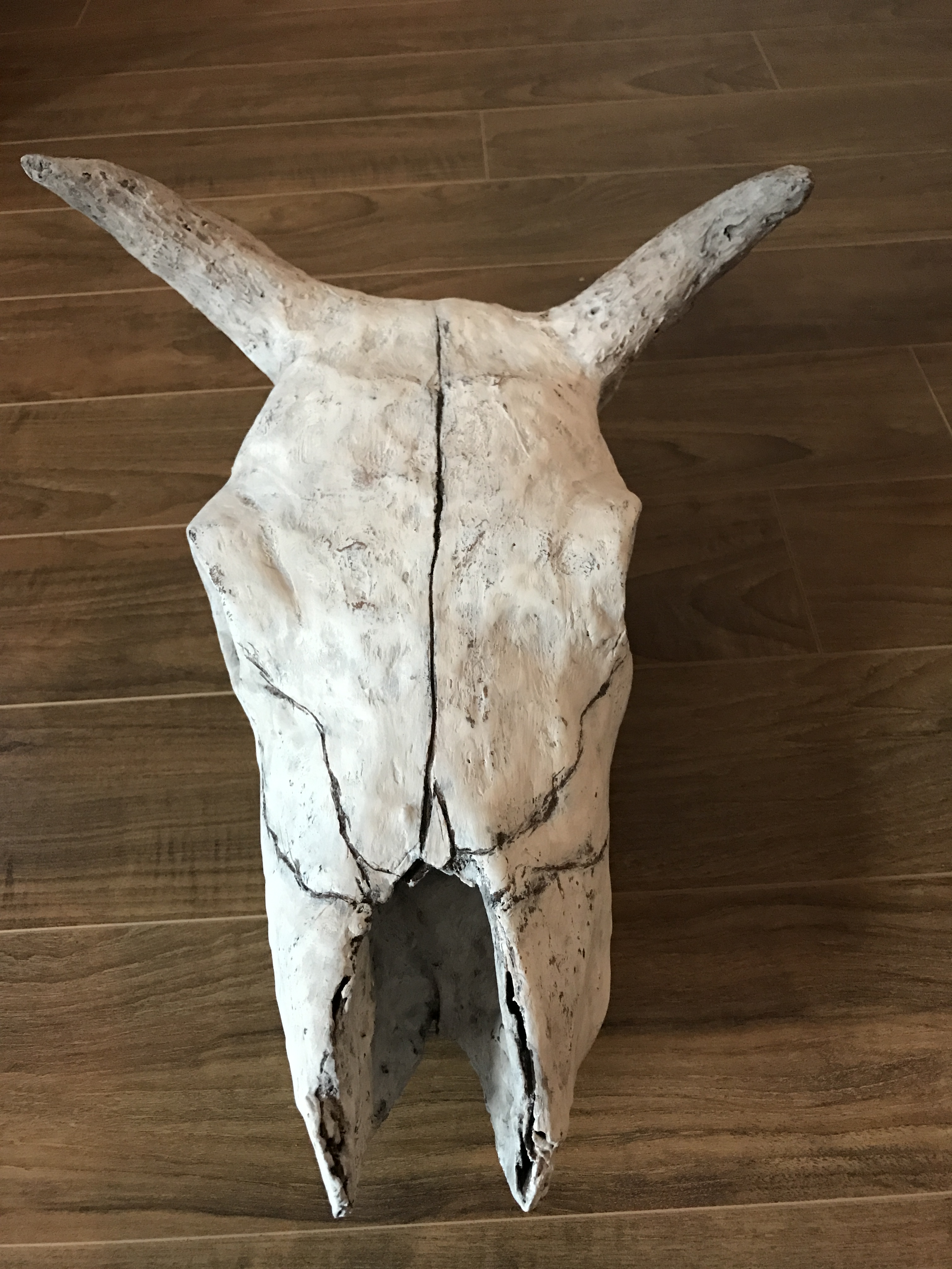 Paper Cow skull.JPG