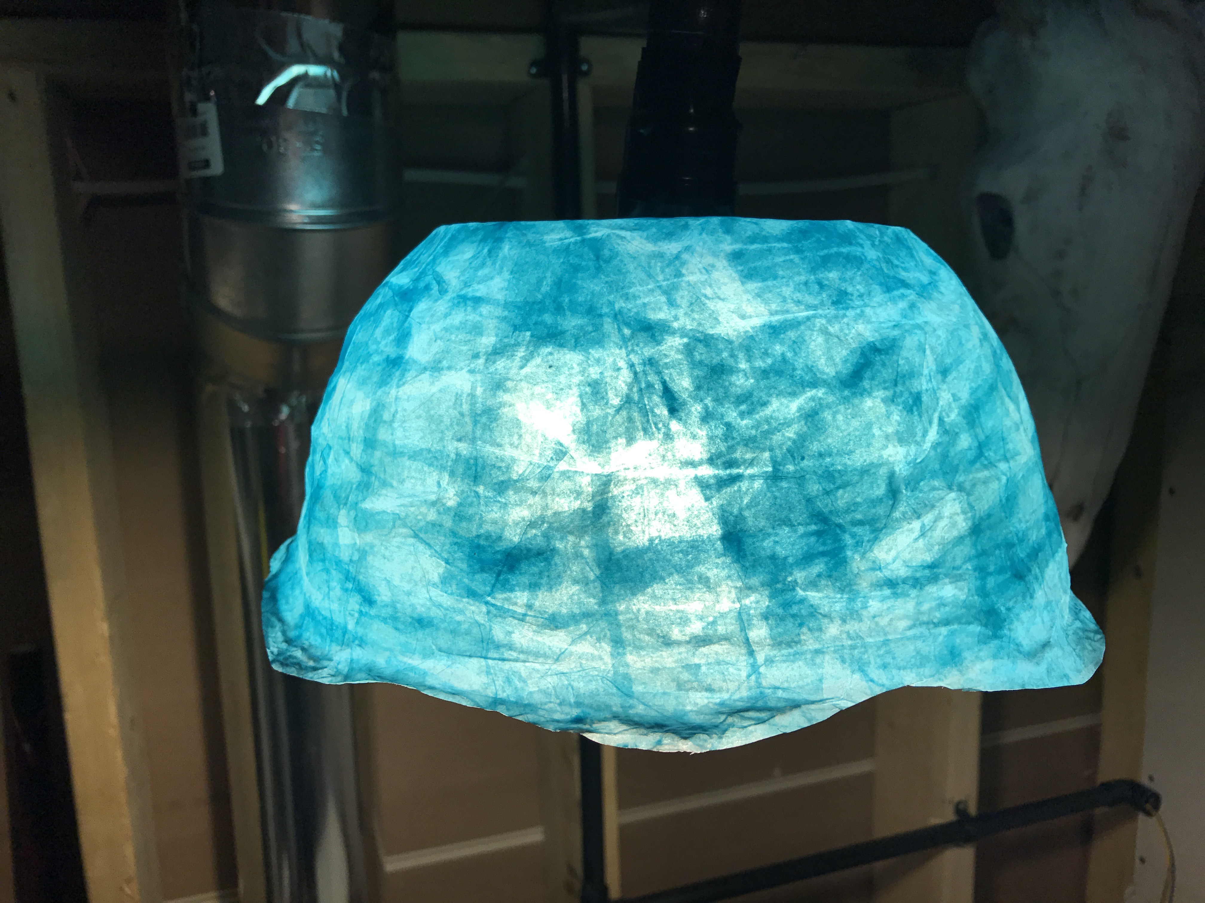 Paper Mache Lamp.JPG