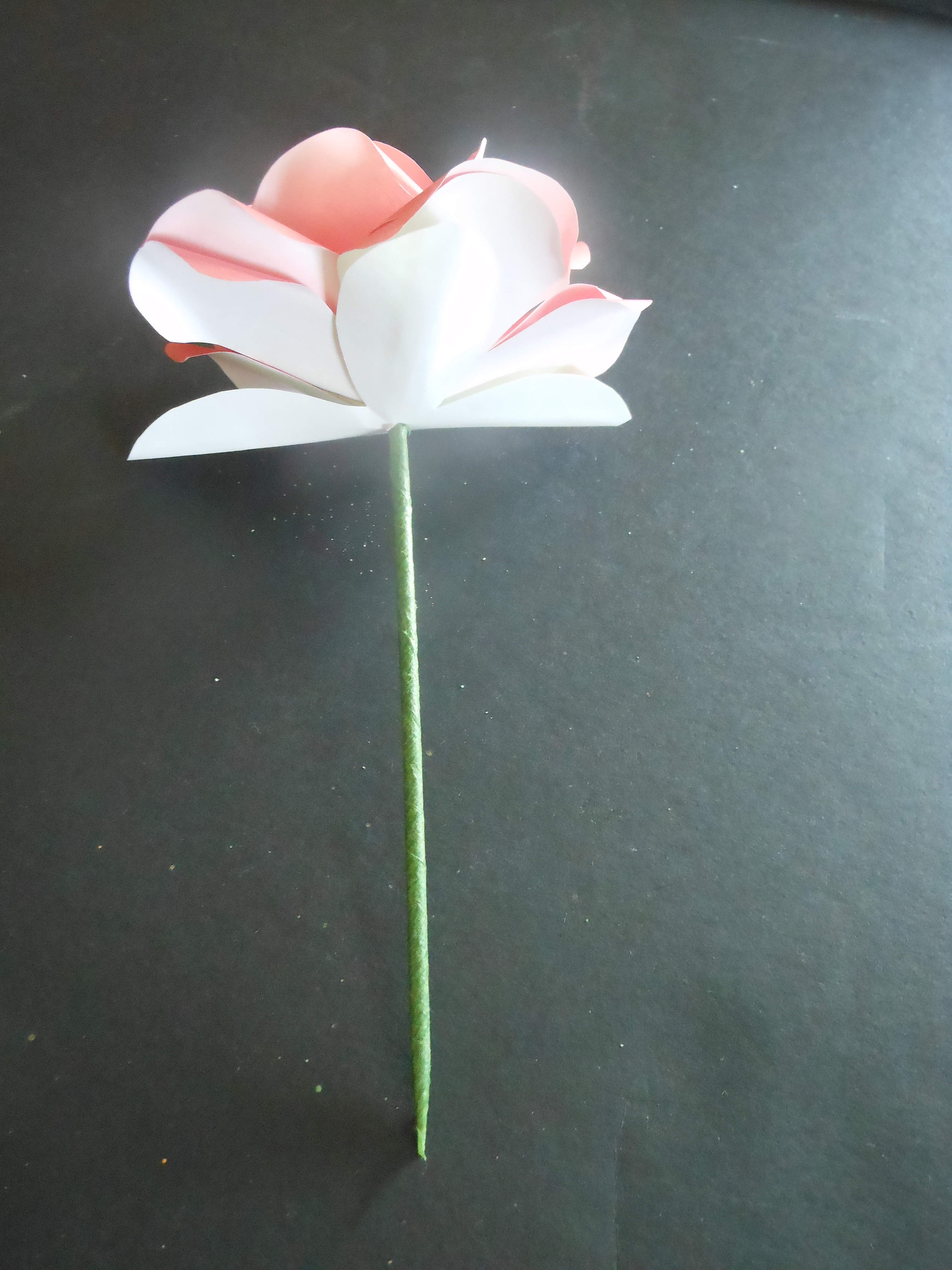 Paper Rose 21.JPG