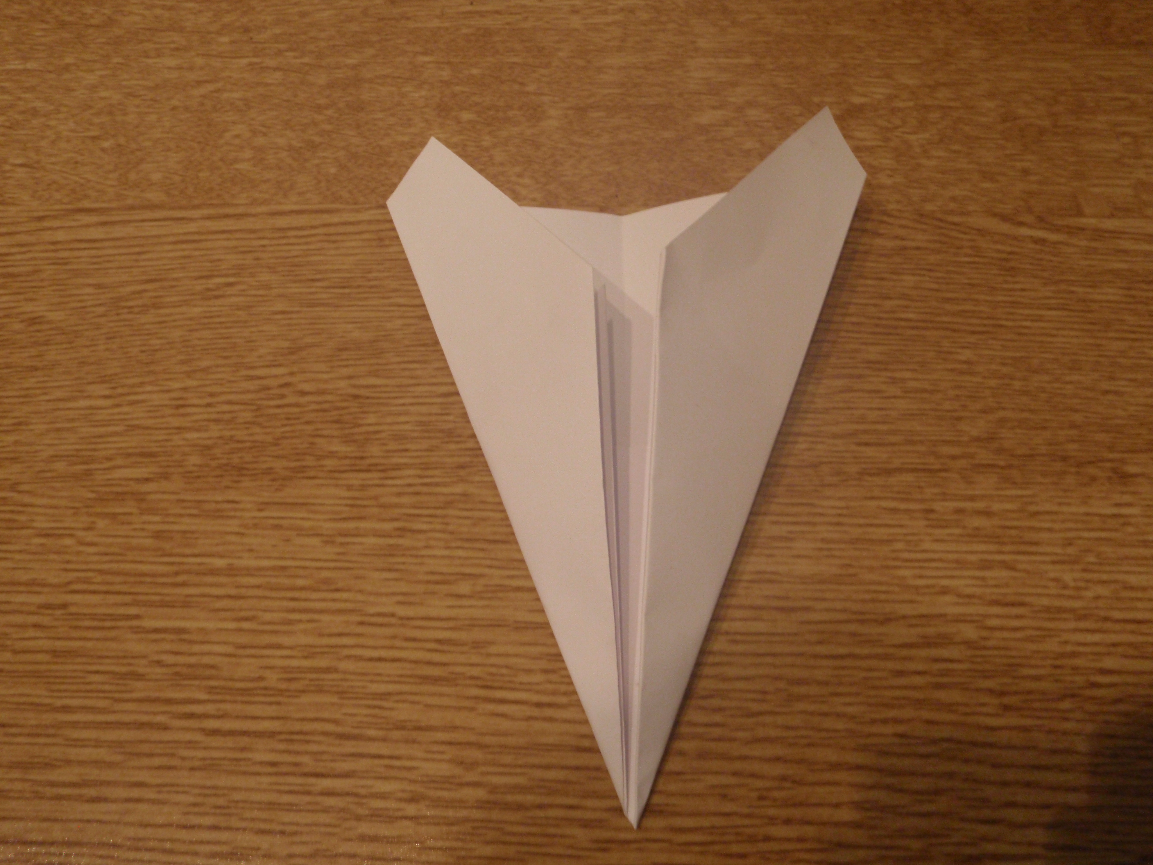 Paper aeroplane 007.jpg