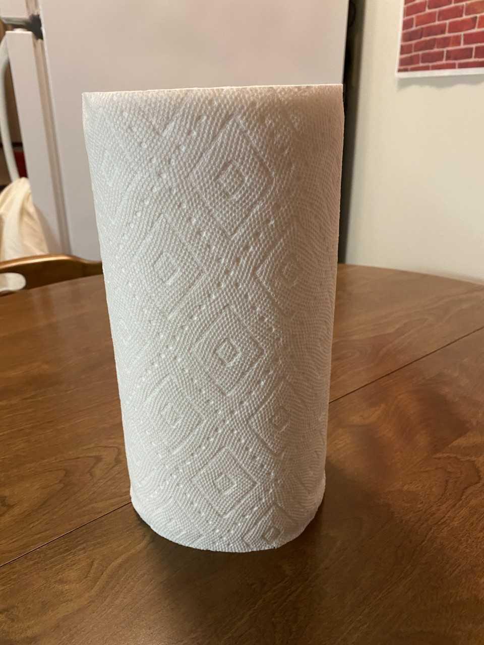 PaperTowels.jpg