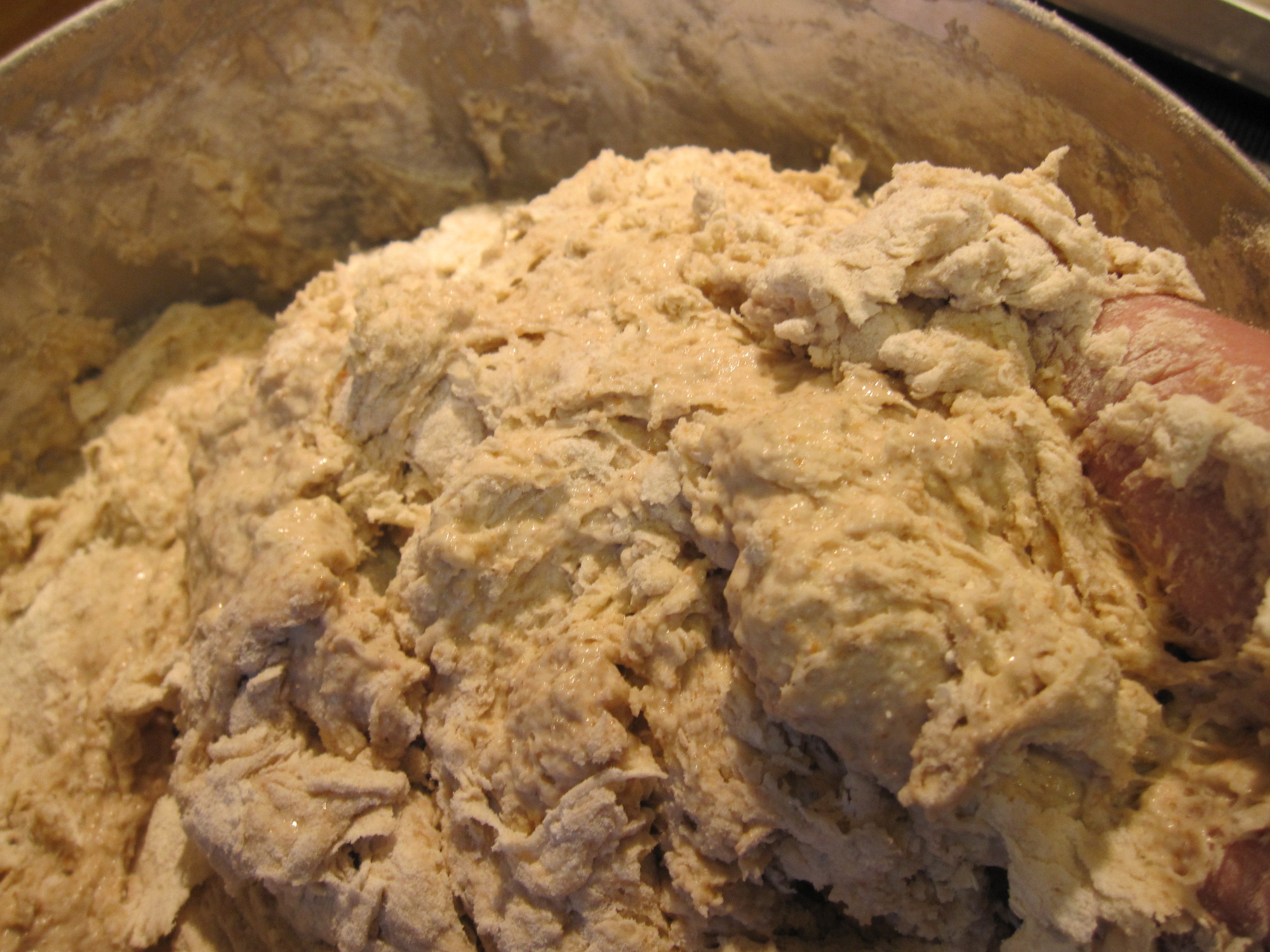 Pate5.JPG