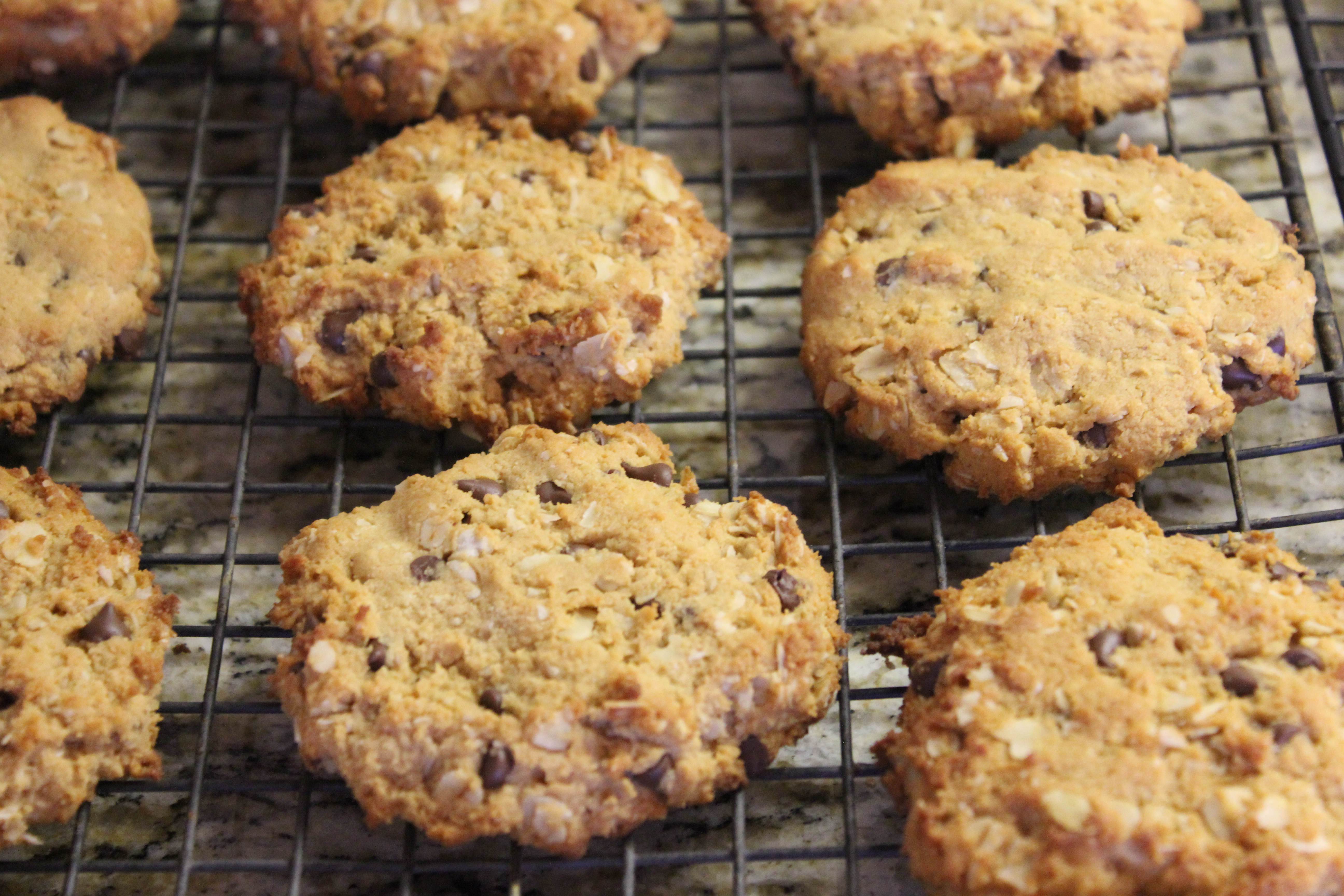 Peanut Butter Oatmeal Choc Chip Cookies with Coconut Flour 1.JPG