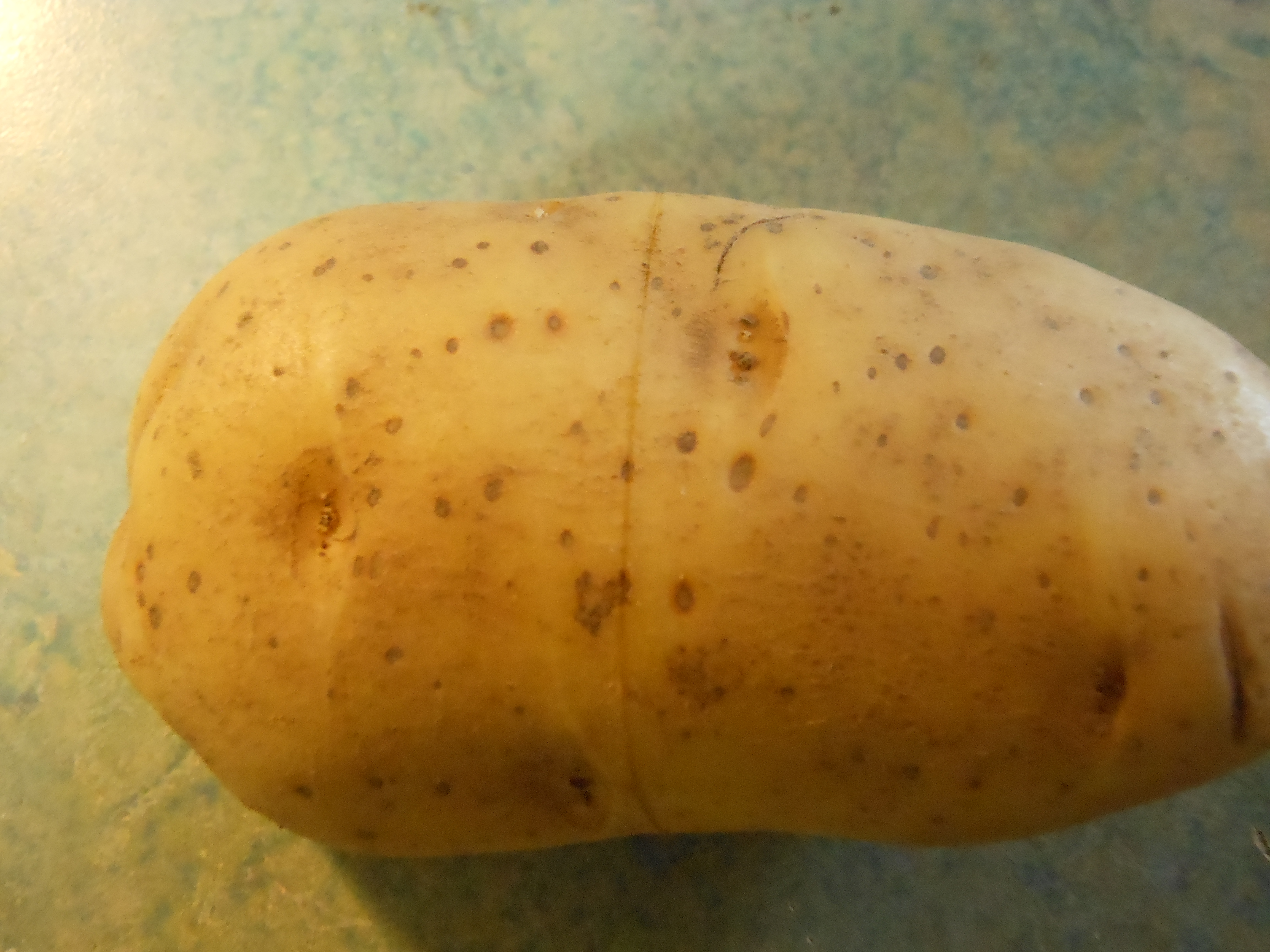 Peel a potato 3.JPG