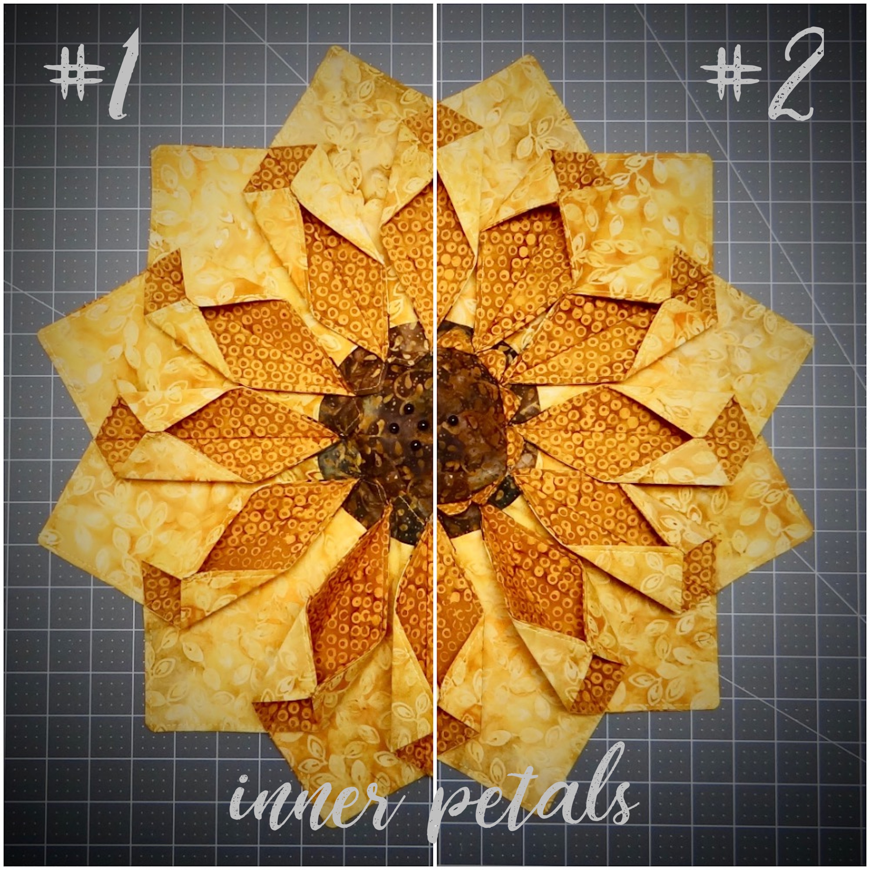 Petals In or Out.jpg