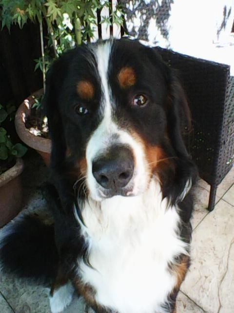 Photo0001.jpg