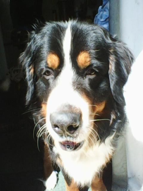 Photo0003.jpg