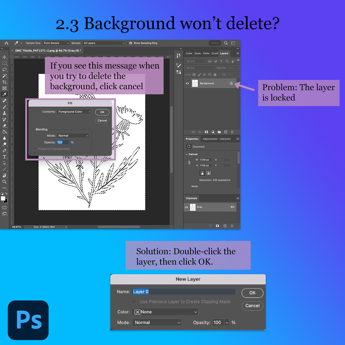 Photoshop Step 2.3.png