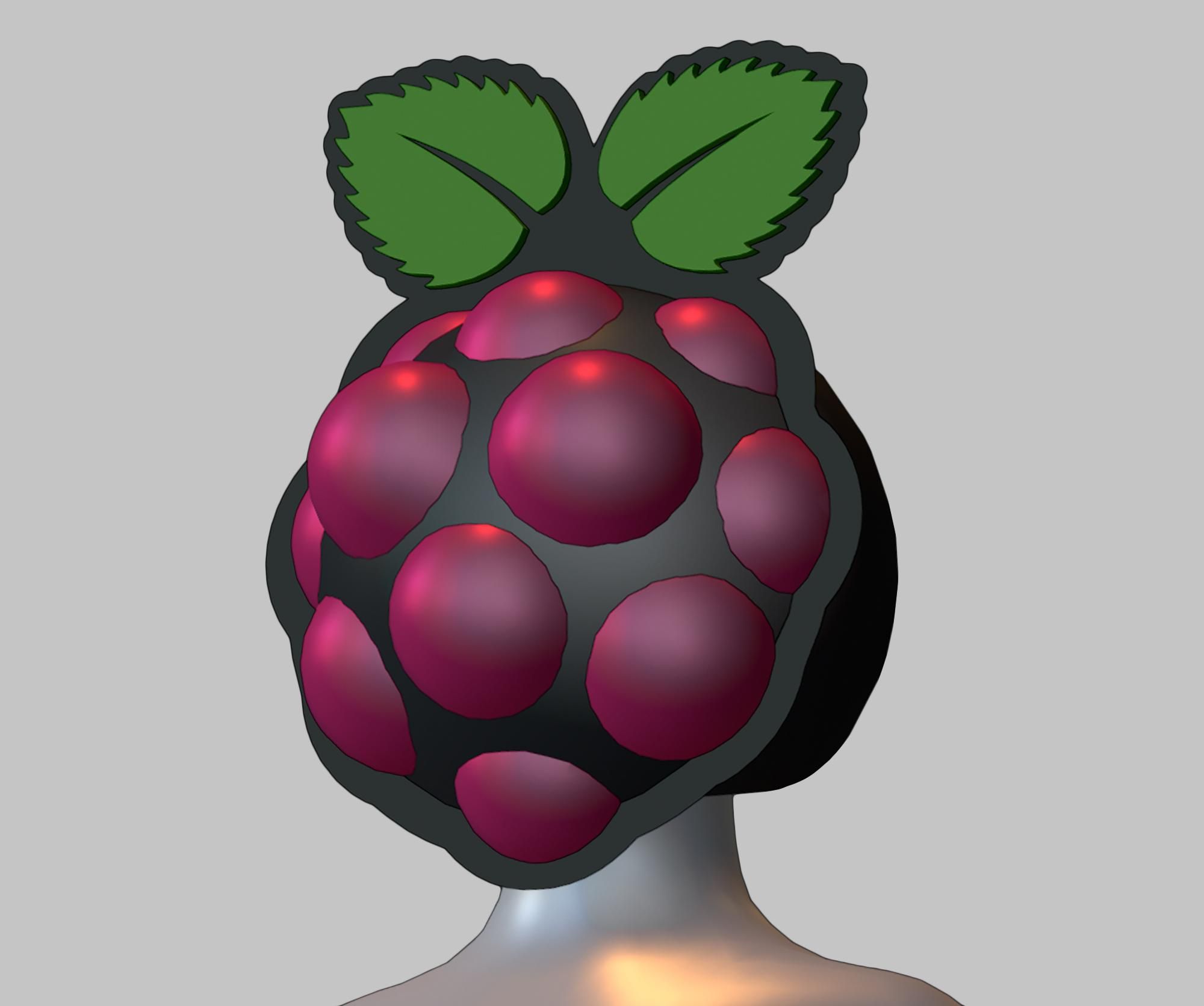 Pi Helmet2.jpg