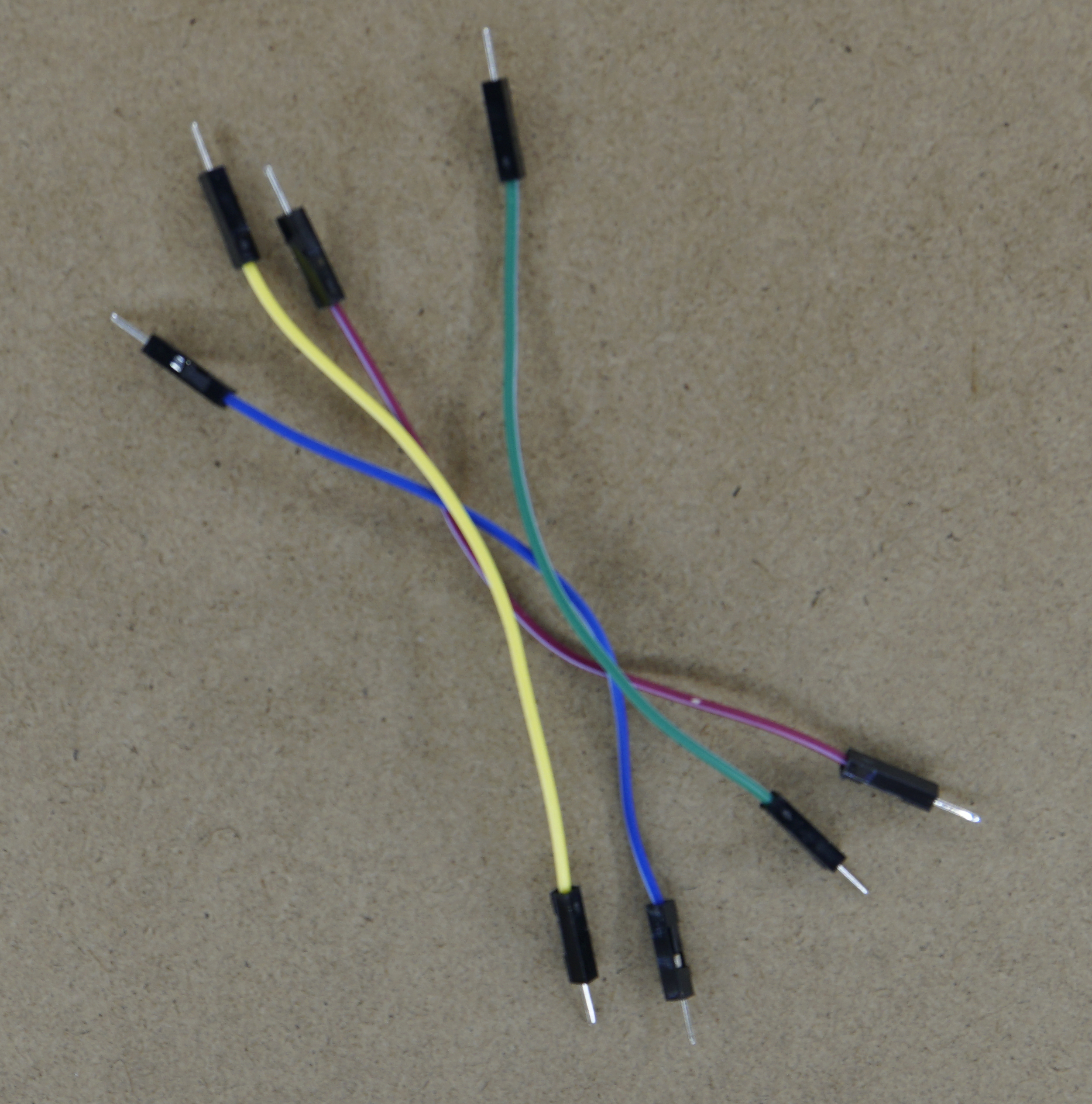 PianoWires.jpg