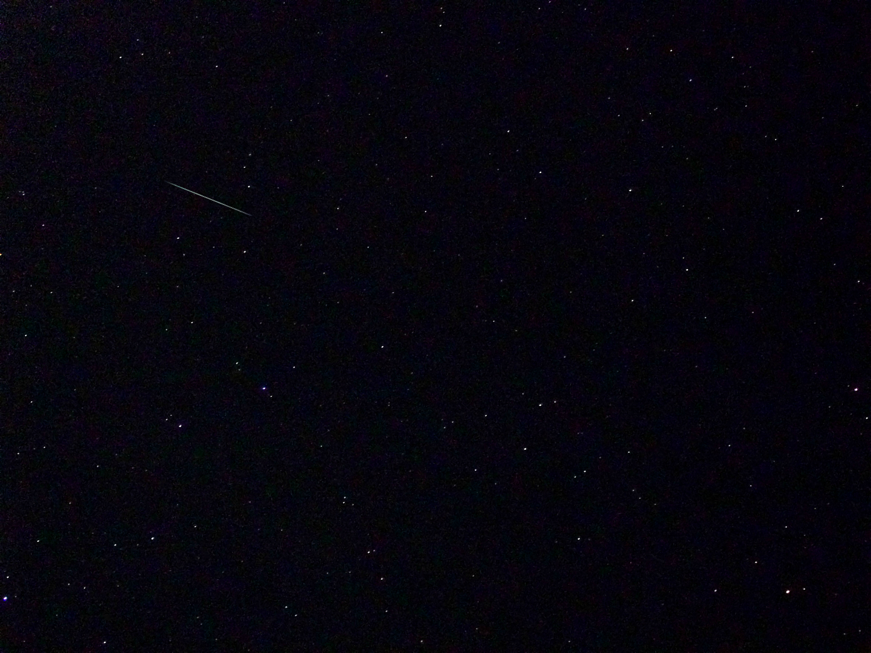 Pic 10.jpg